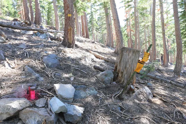 a view of a backyard with table and chairs and wooden fence