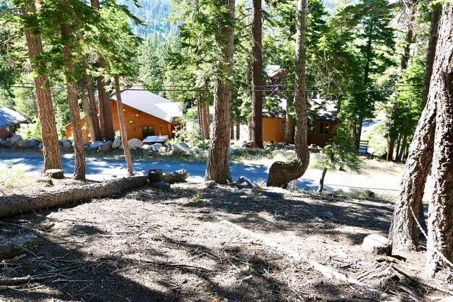 a view of a yard with wooden fence
