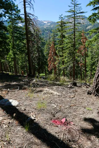 a view of a bird bath