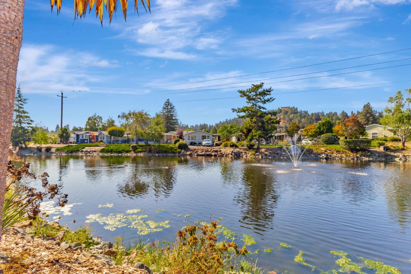 225 Mt Hermon Road, Unit 81 Scotts Valley, CA 95066 - Photo 22 of 38 a lake view