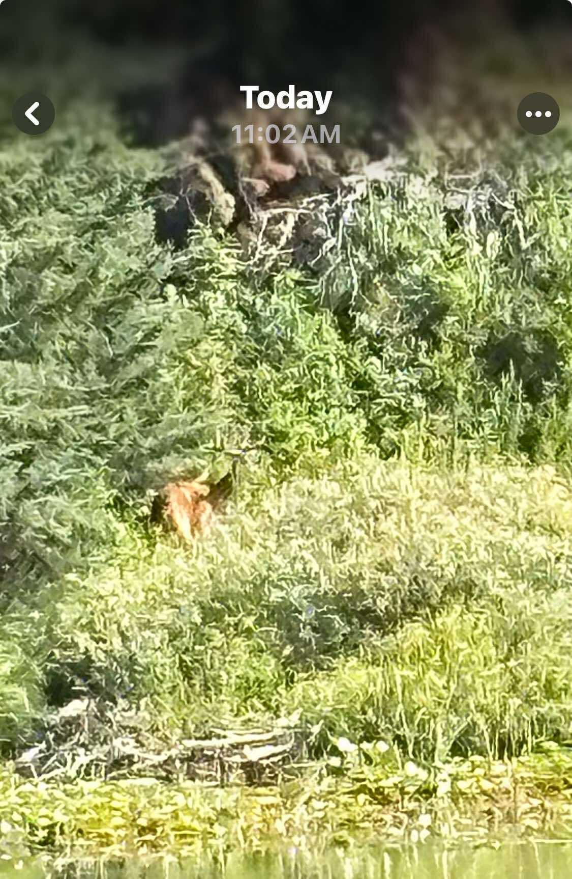 2 Popple Twp Mn 56621 Bagley, MN 56621 - Photo 13 of 93