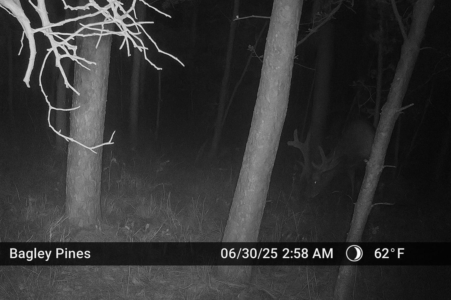 2 Popple Twp Mn 56621 Bagley, MN 56621 - Photo 16 of 93