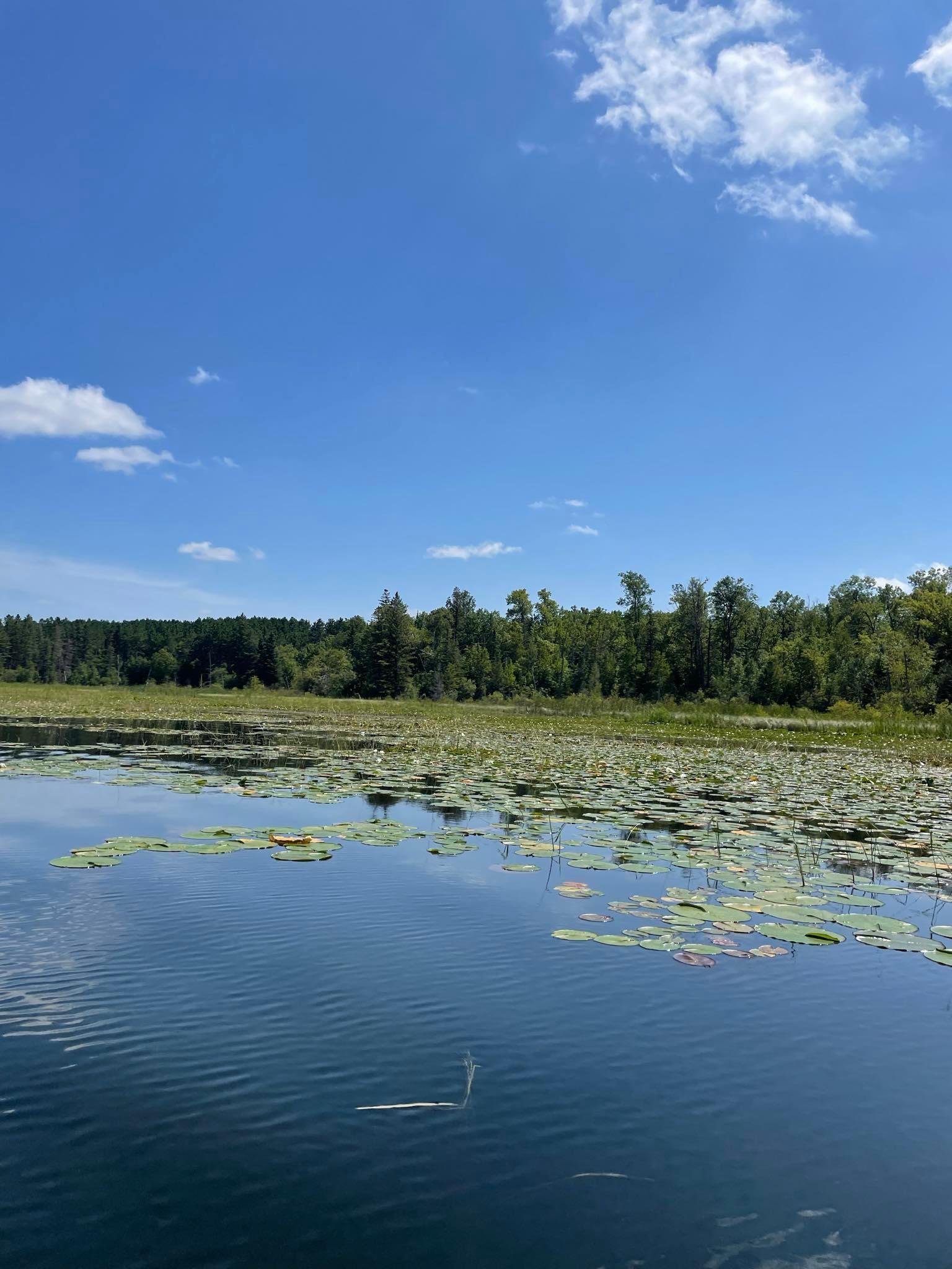 2 Popple Twp Mn 56621 Bagley, MN 56621 - Photo 20 of 93