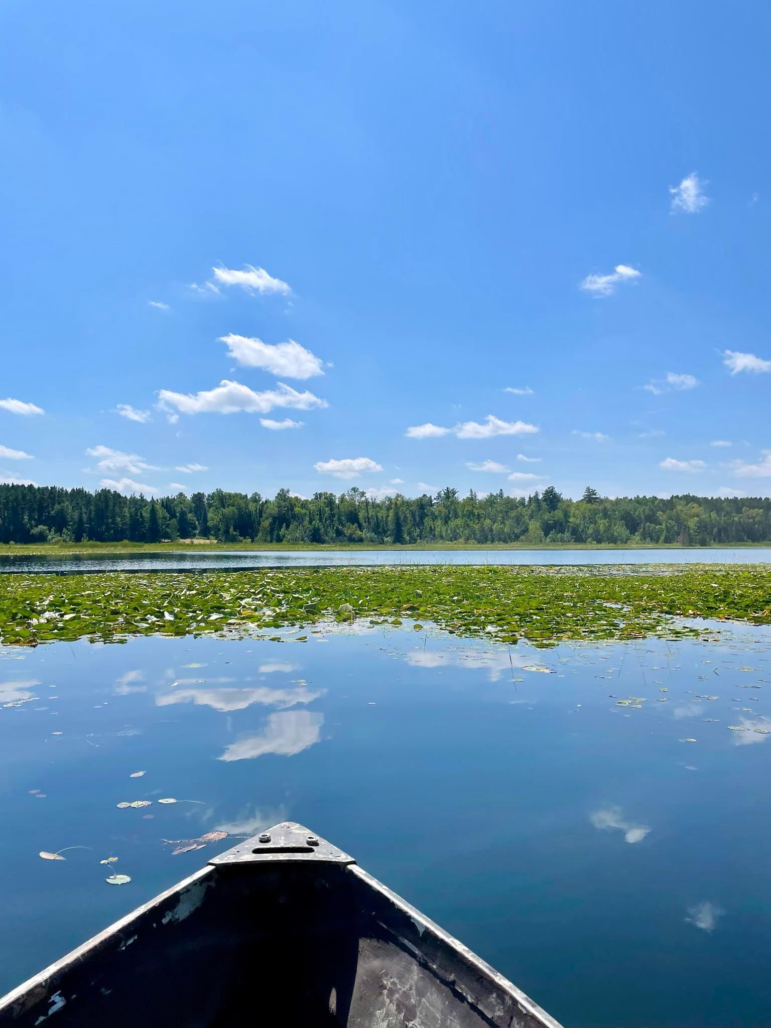 2 Popple Twp Mn 56621 Bagley, MN 56621 - Photo 21 of 93