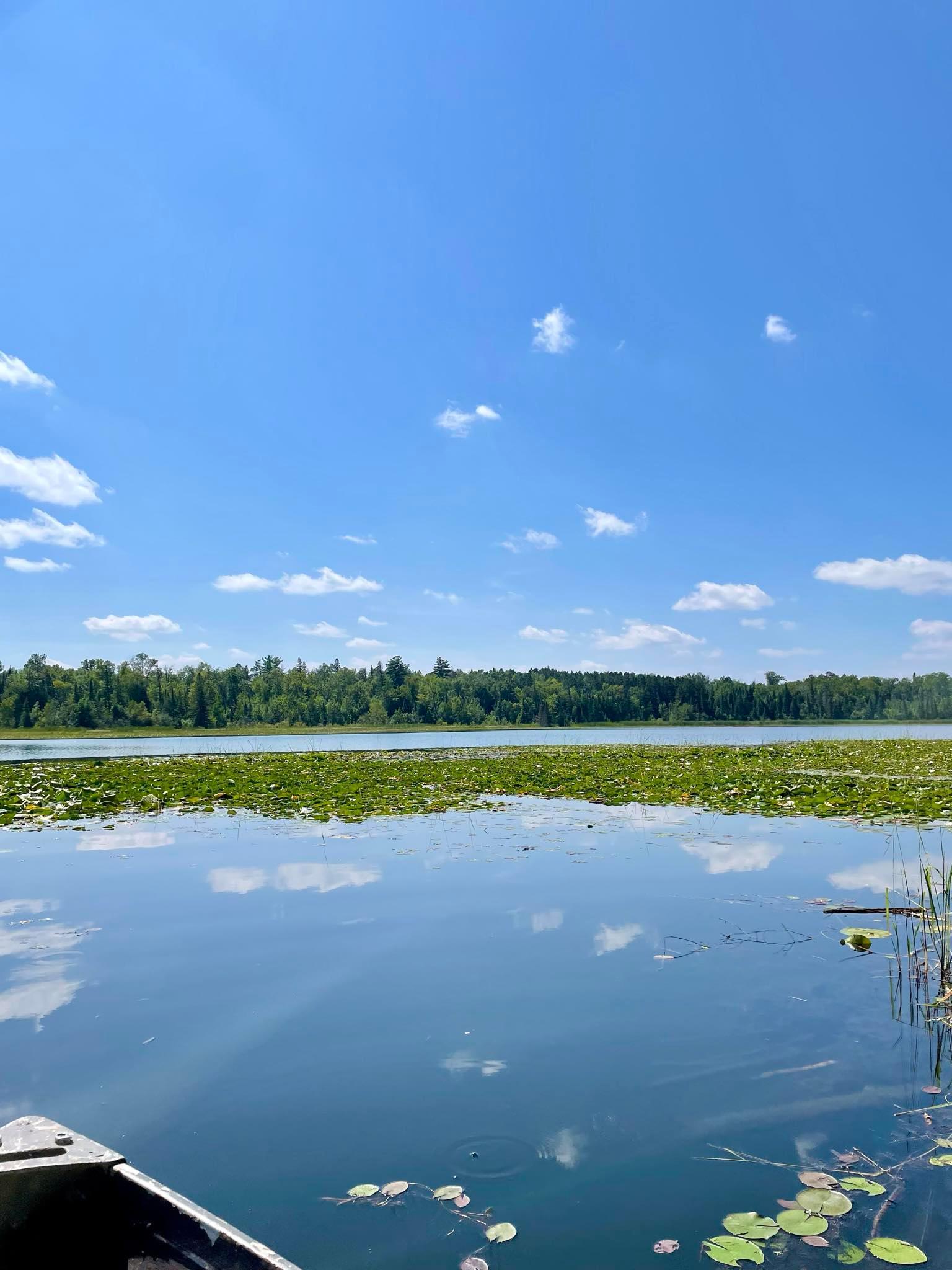 2 Popple Twp Mn 56621 Bagley, MN 56621 - Photo 22 of 93