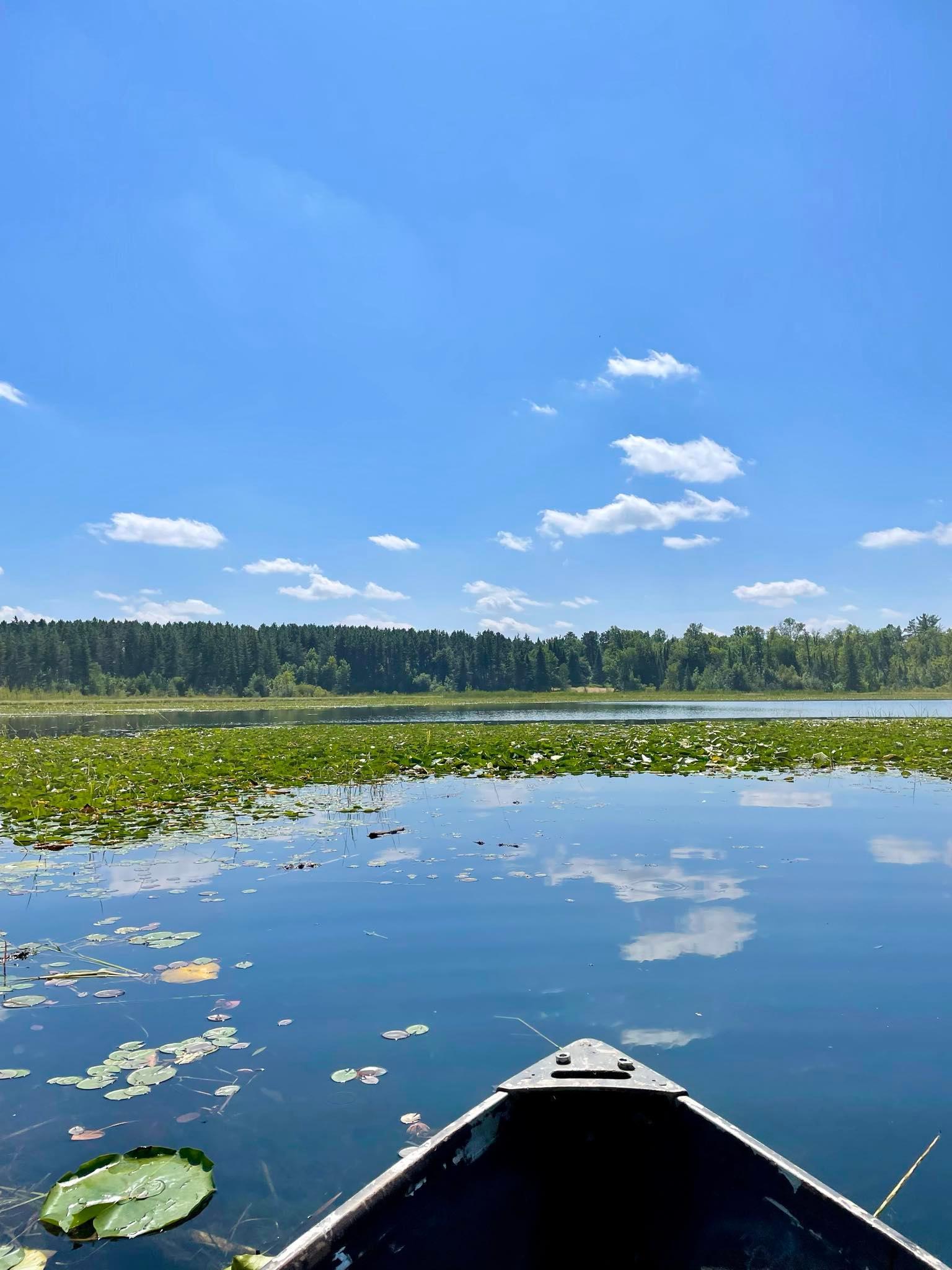 2 Popple Twp Mn 56621 Bagley, MN 56621 - Photo 24 of 93