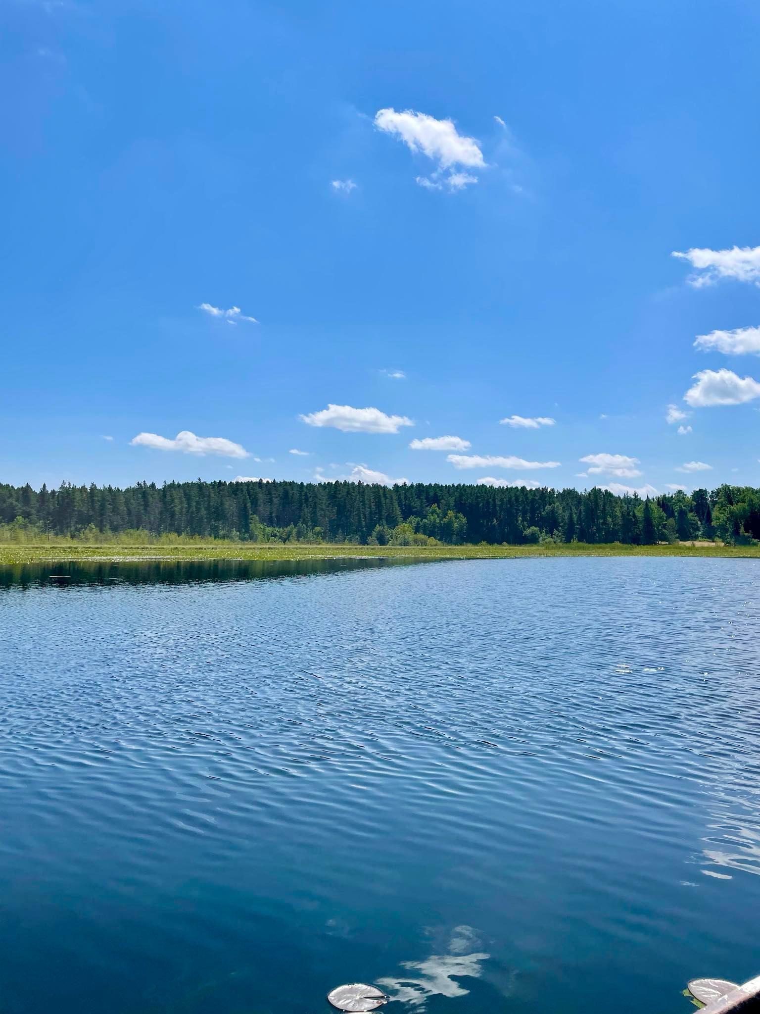 2 Popple Twp Mn 56621 Bagley, MN 56621 - Photo 25 of 93