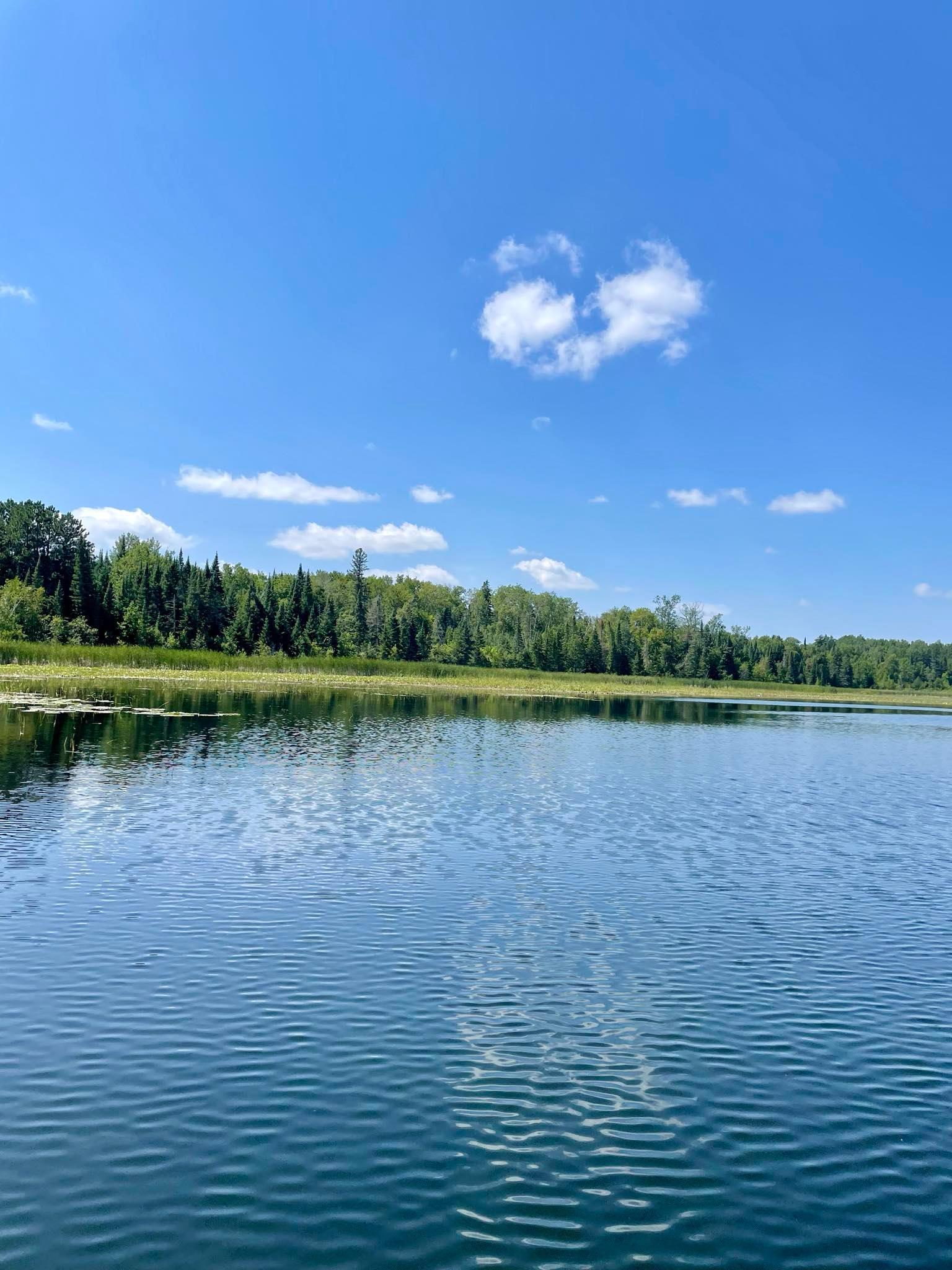 2 Popple Twp Mn 56621 Bagley, MN 56621 - Photo 27 of 93