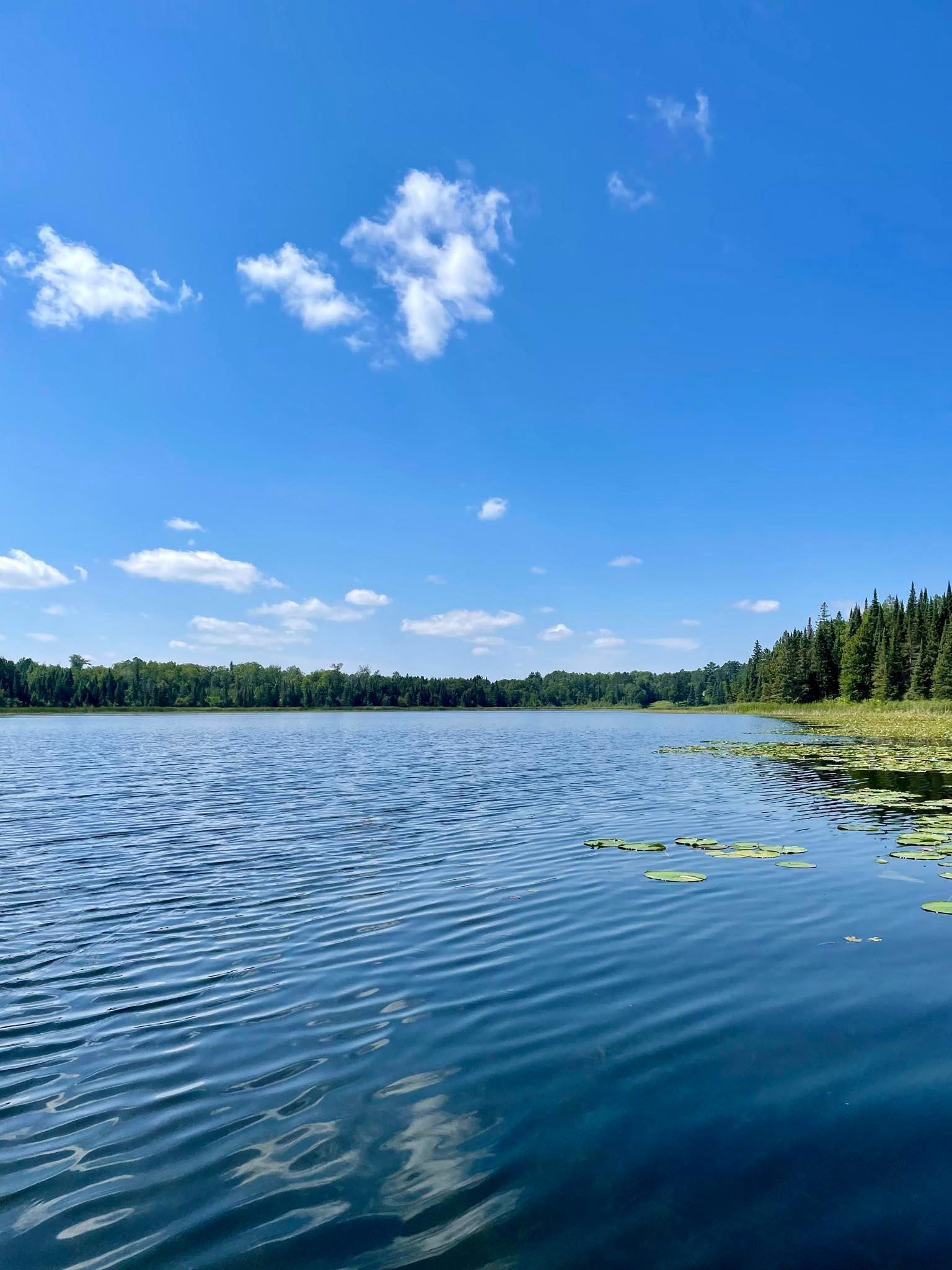 2 Popple Twp Mn 56621 Bagley, MN 56621 - Photo 30 of 93