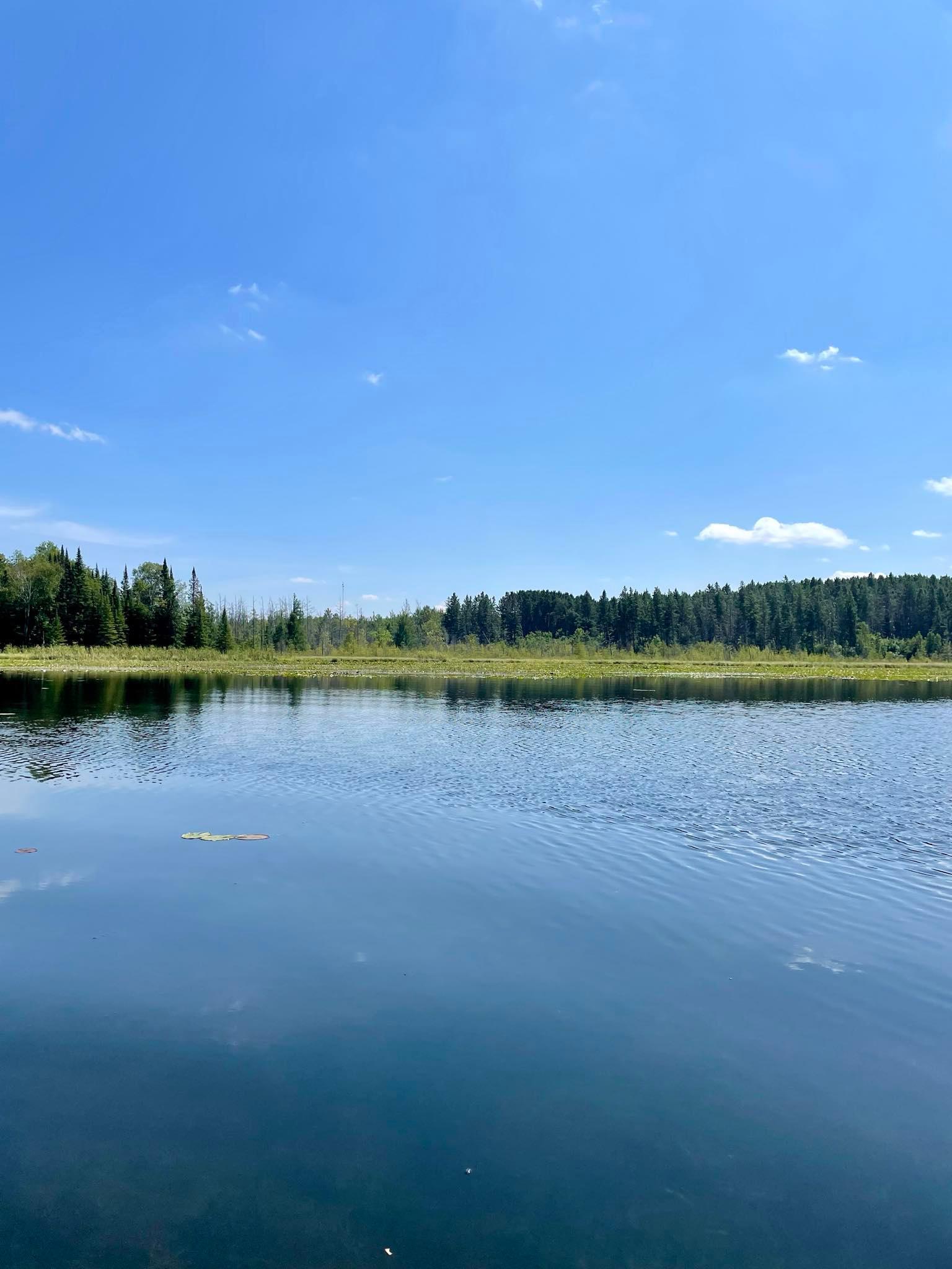 2 Popple Twp Mn 56621 Bagley, MN 56621 - Photo 32 of 93