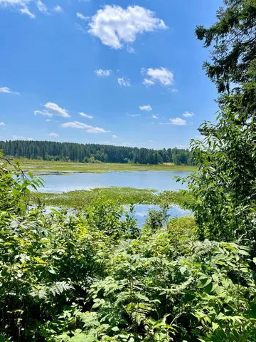 $224,900 | 2 Popple Twp Mn 56621, Bagley, MN 56621