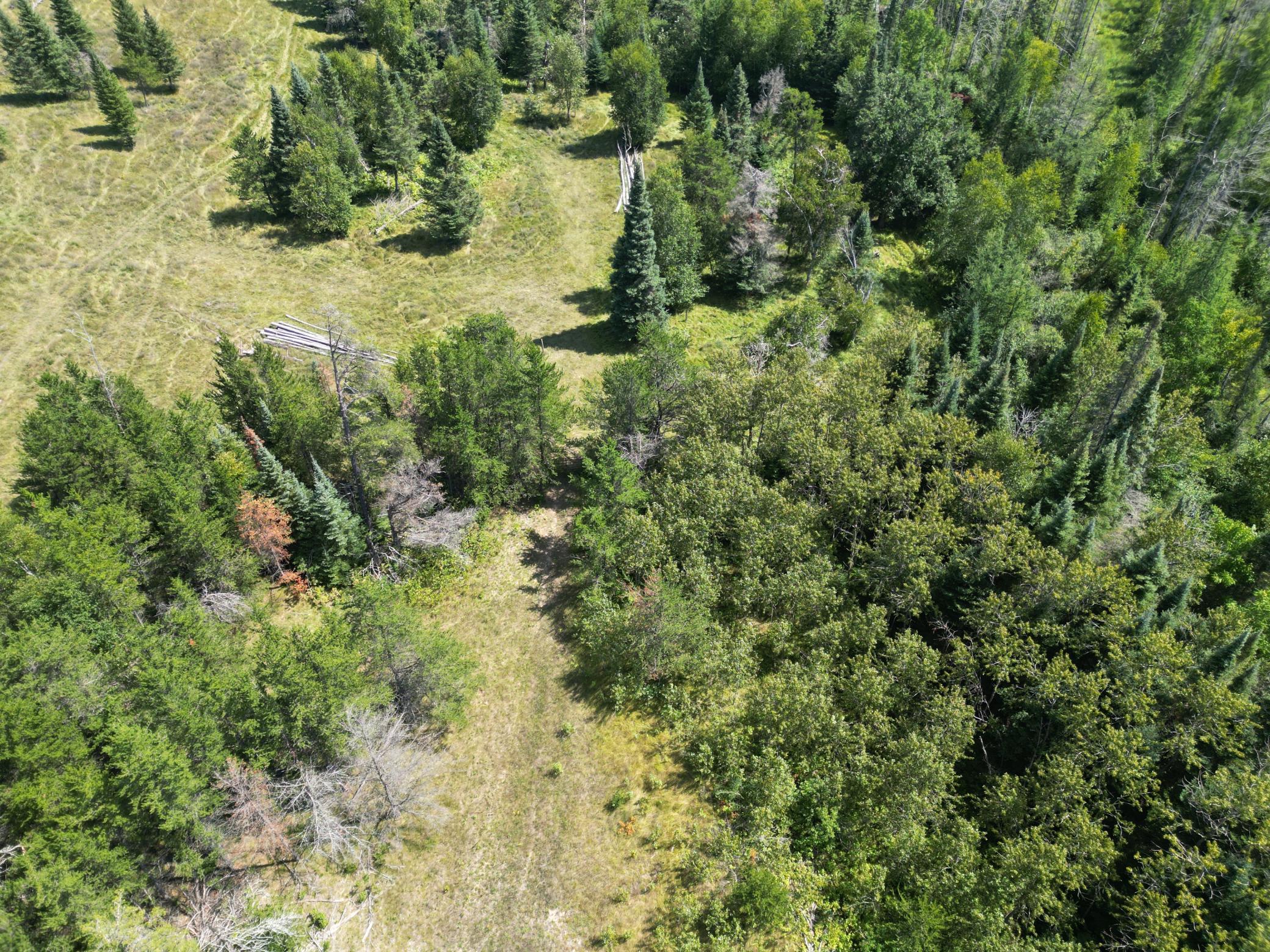 2 Popple Twp Mn 56621 Bagley, MN 56621 - Photo 37 of 93