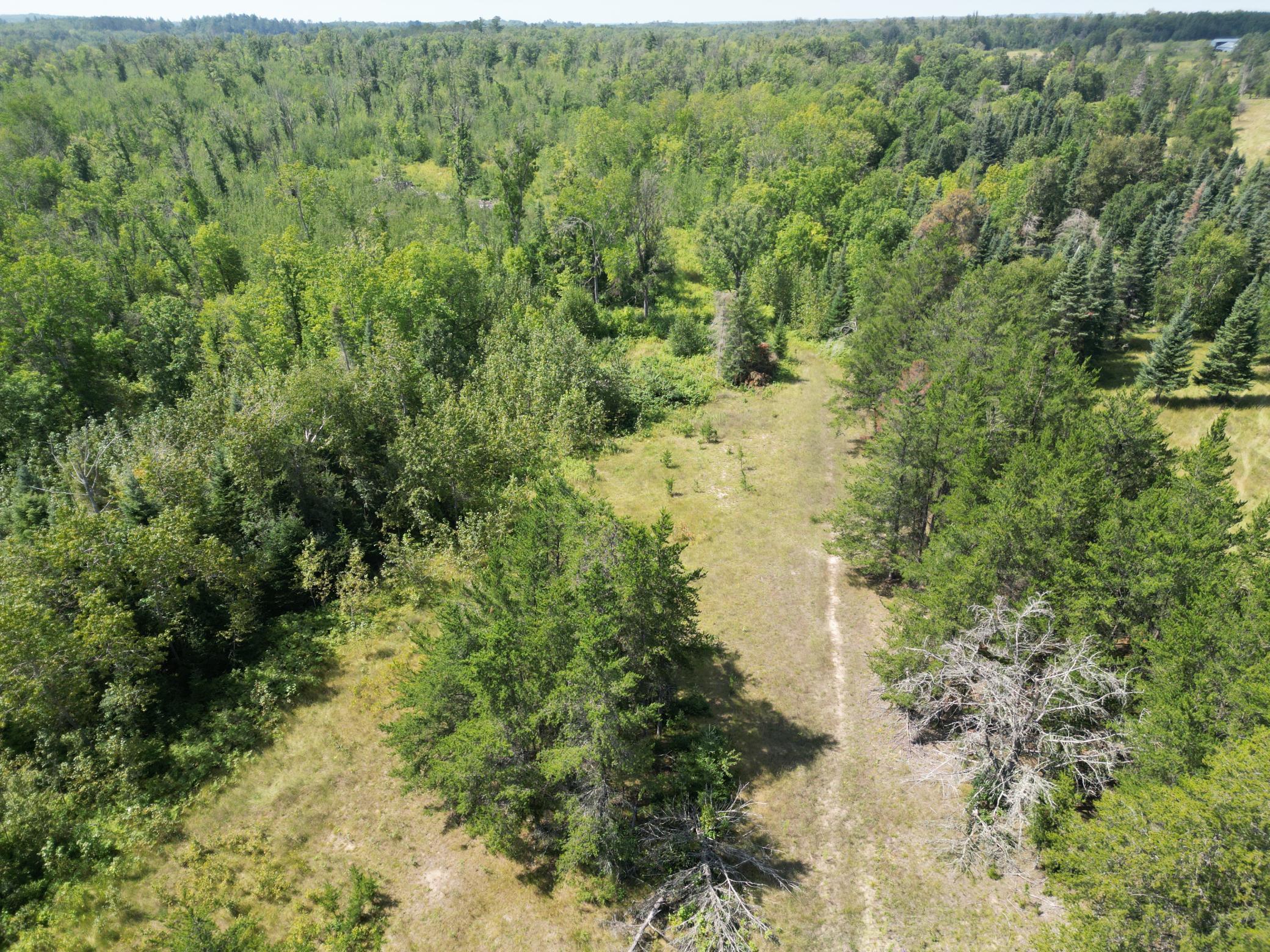 2 Popple Twp Mn 56621 Bagley, MN 56621 - Photo 39 of 93