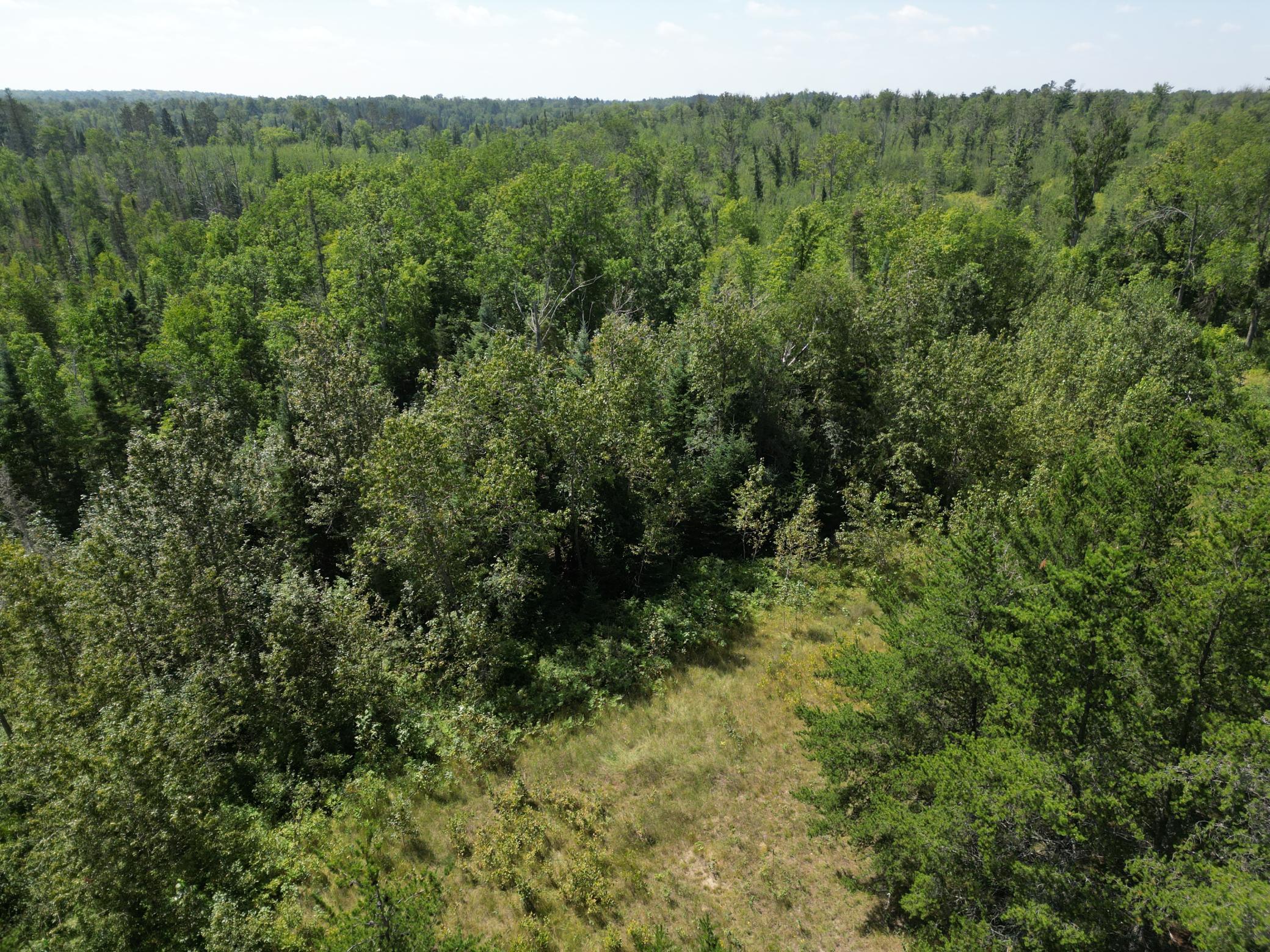 2 Popple Twp Mn 56621 Bagley, MN 56621 - Photo 40 of 93