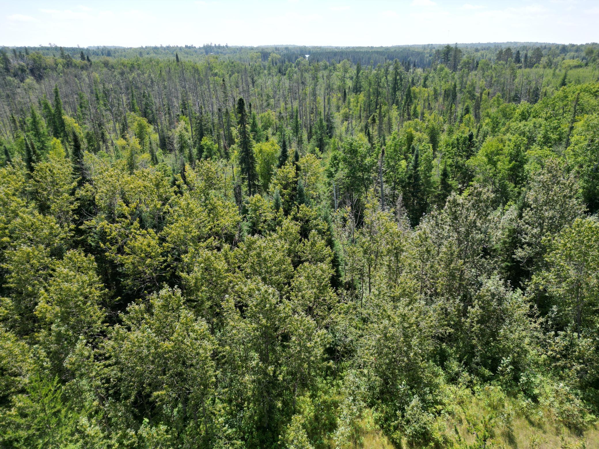 2 Popple Twp Mn 56621 Bagley, MN 56621 - Photo 41 of 93