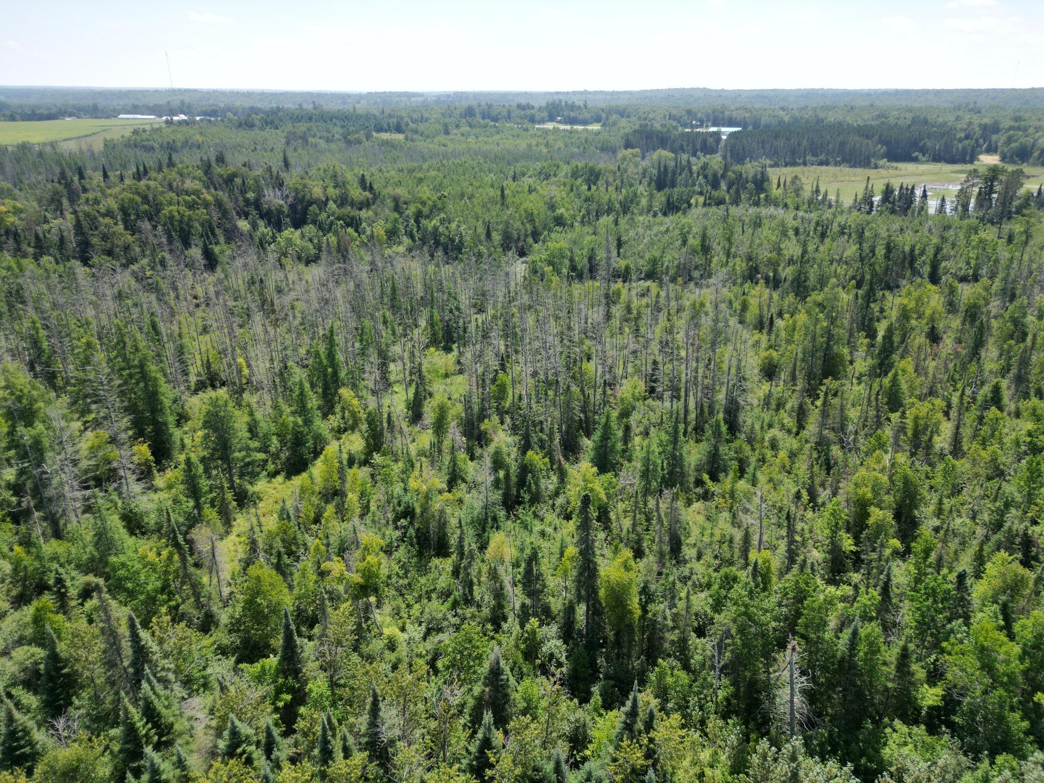 2 Popple Twp Mn 56621 Bagley, MN 56621 - Photo 42 of 93