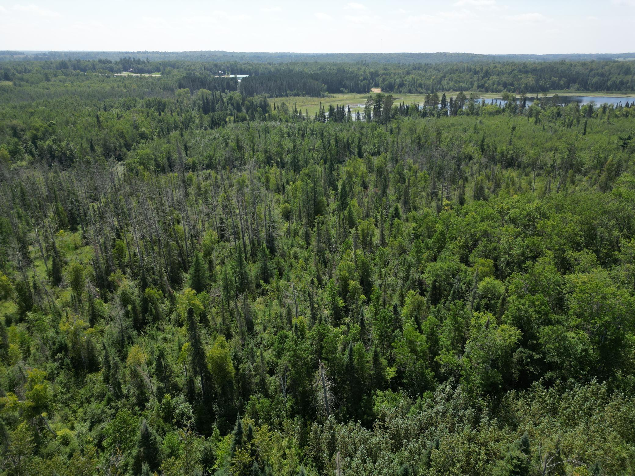 2 Popple Twp Mn 56621 Bagley, MN 56621 - Photo 43 of 93