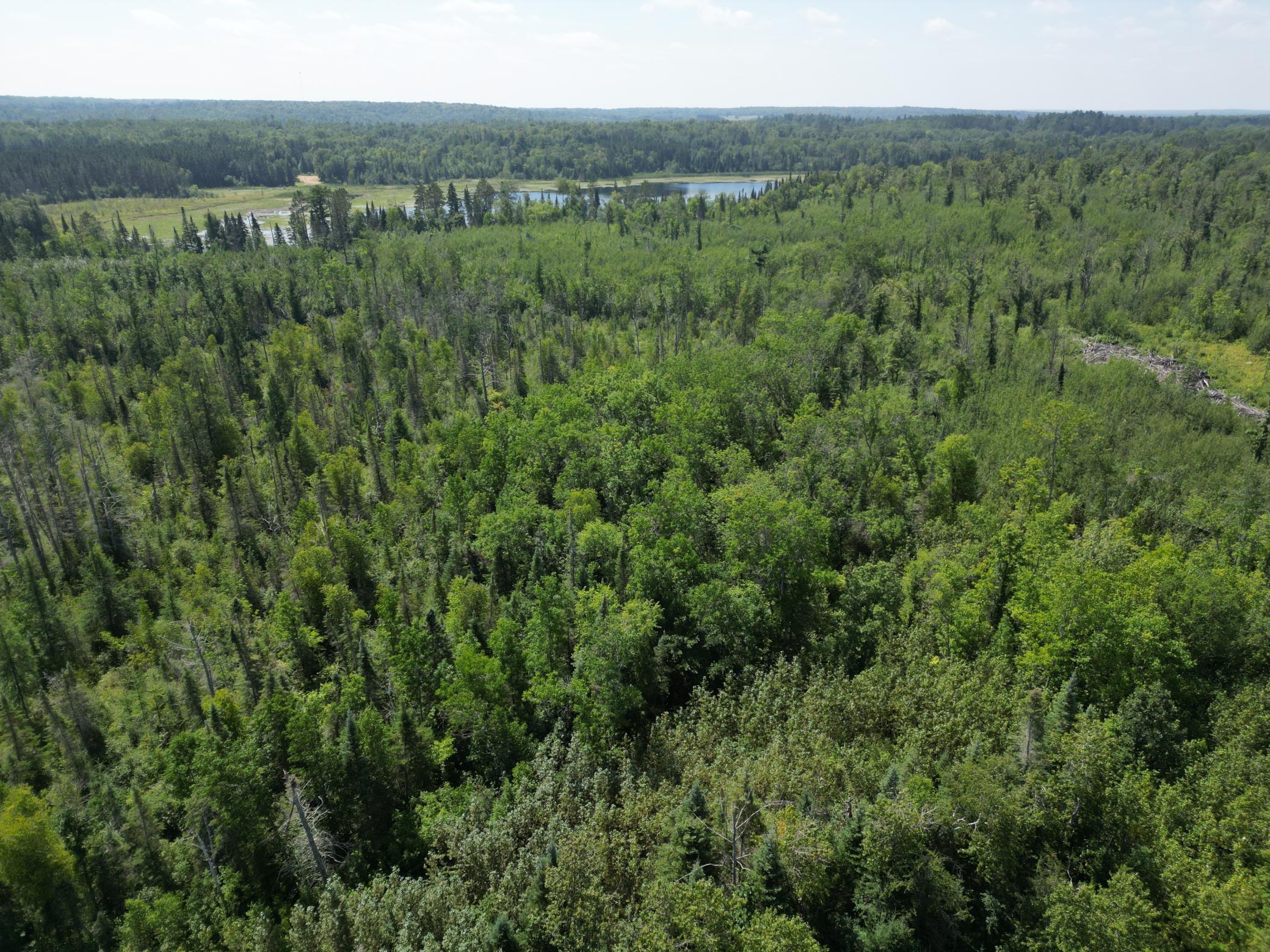 2 Popple Twp Mn 56621 Bagley, MN 56621 - Photo 44 of 93