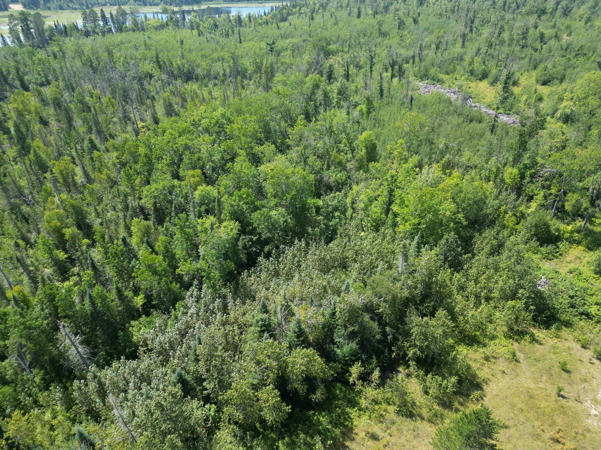 2 Popple Twp Mn 56621 Bagley, MN 56621 - Photo 45 of 93