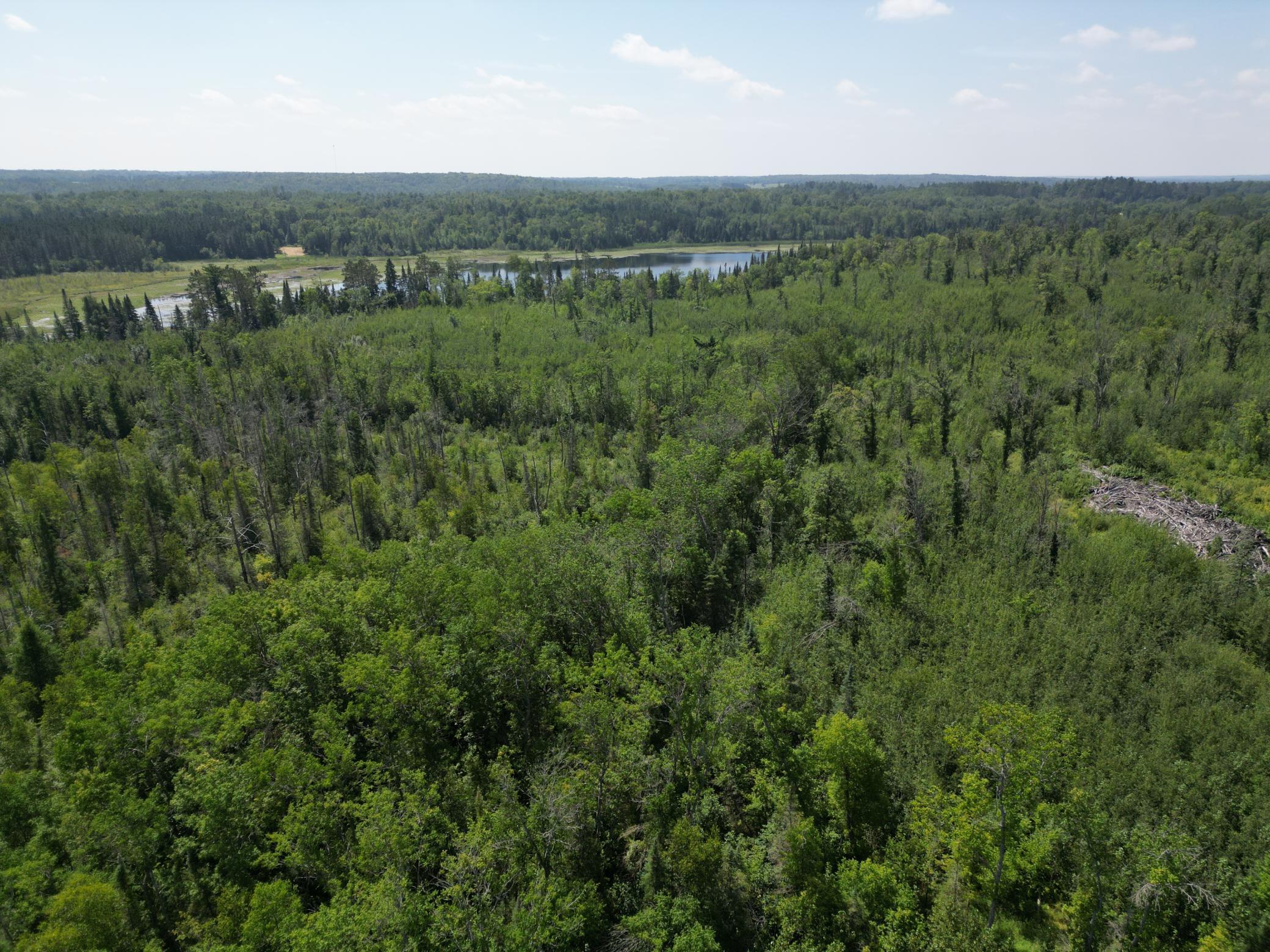 2 Popple Twp Mn 56621 Bagley, MN 56621 - Photo 46 of 93