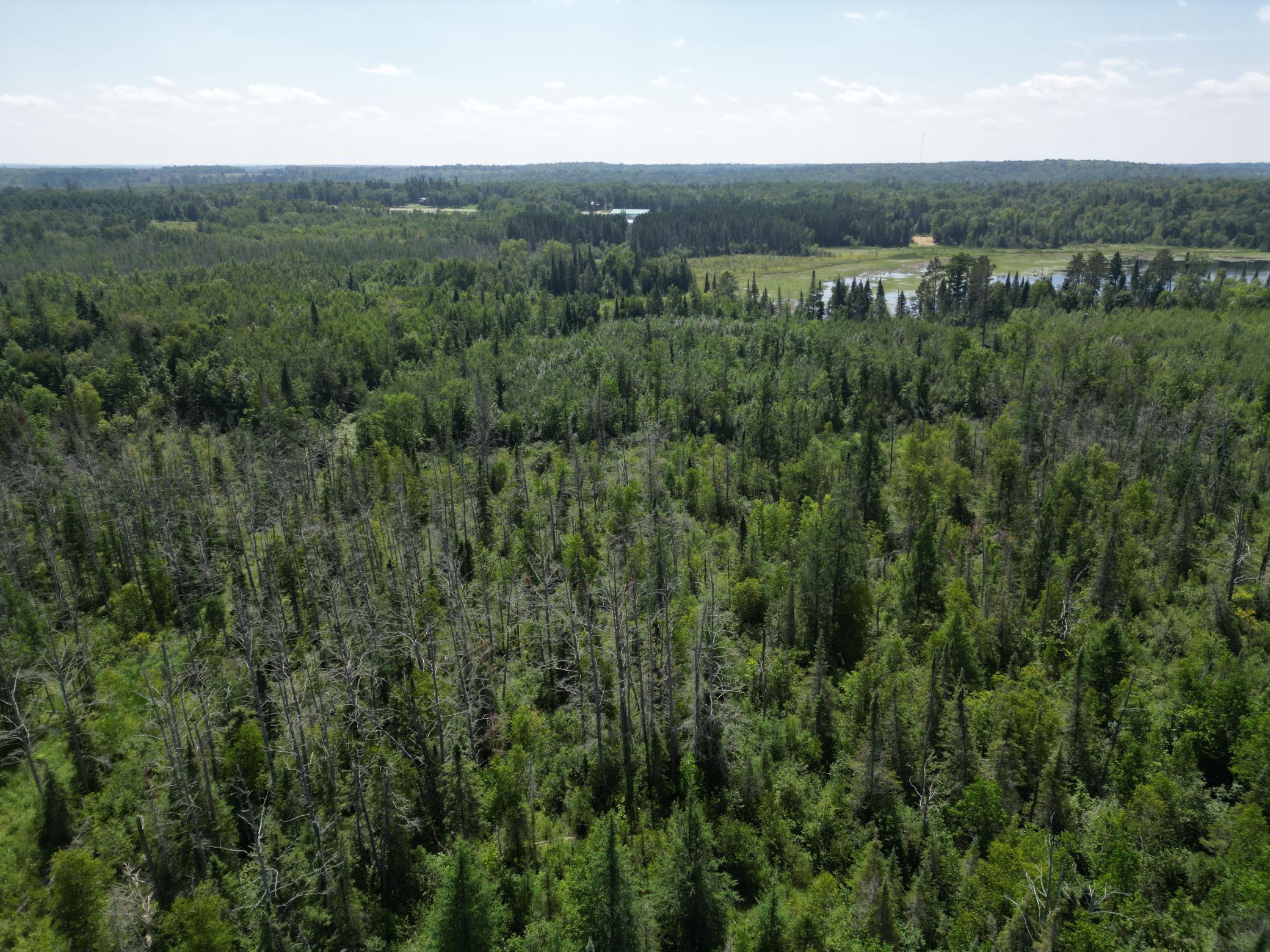 2 Popple Twp Mn 56621 Bagley, MN 56621 - Photo 52 of 93