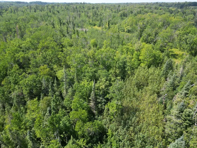 $224,900 | 2 Popple Twp Mn 56621, Bagley, MN 56621