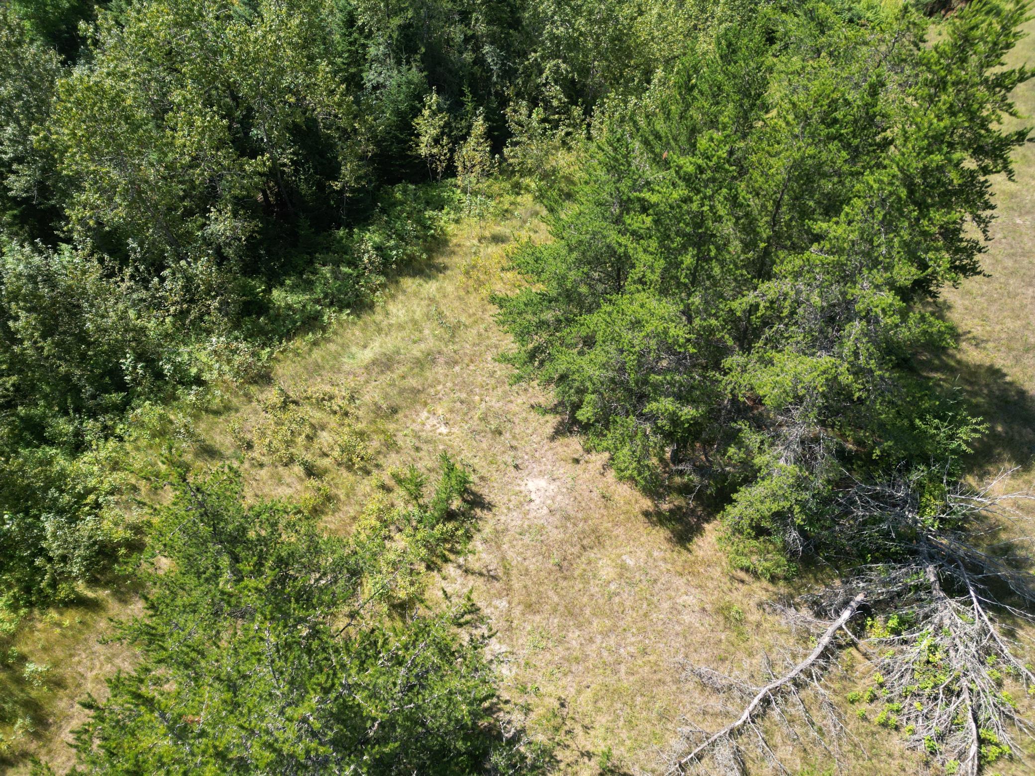 2 Popple Twp Mn 56621 Bagley, MN 56621 - Photo 56 of 93