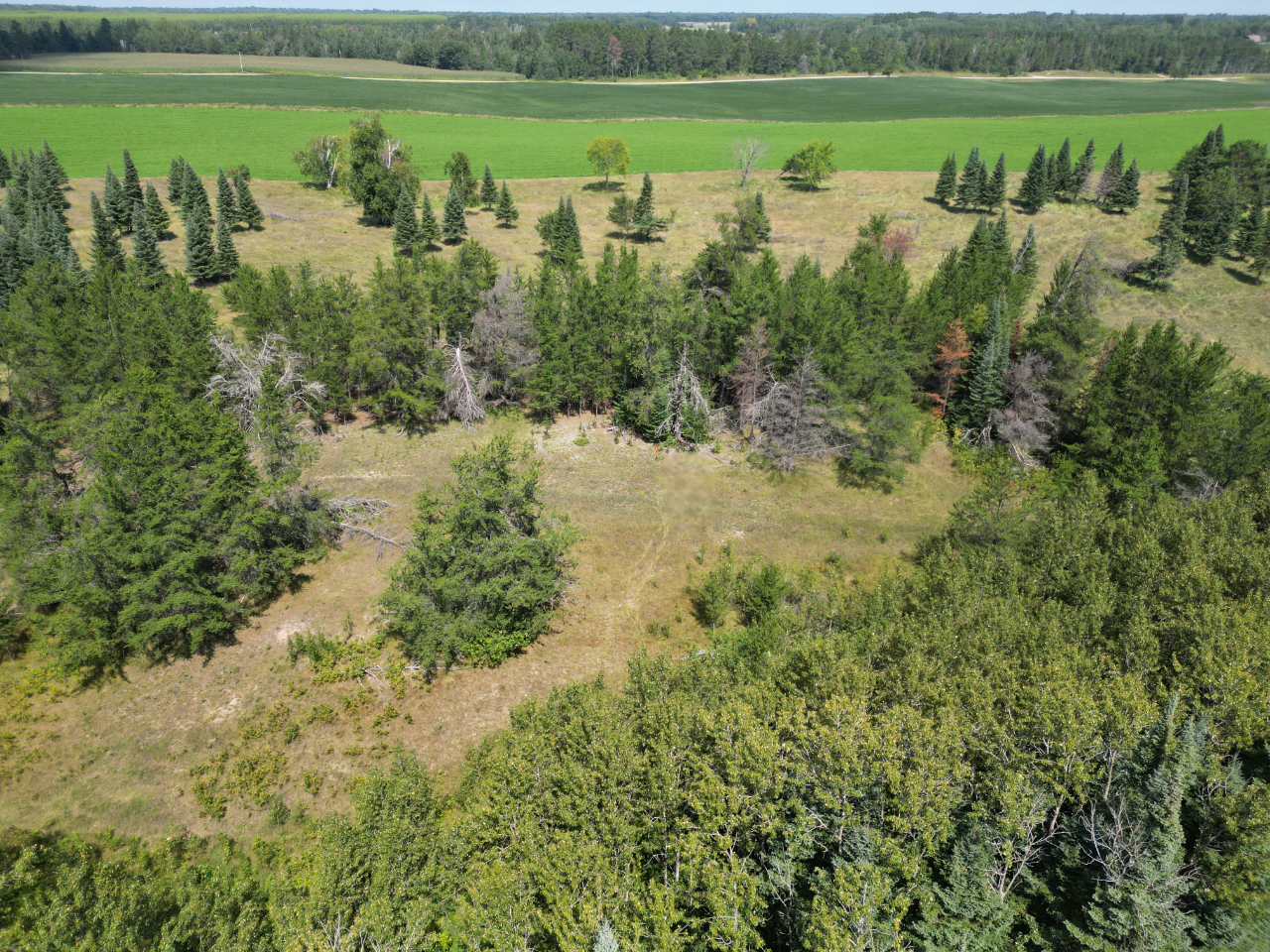 2 Popple Twp Mn 56621 Bagley, MN 56621 - Photo 58 of 93