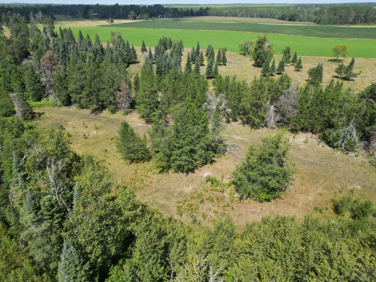 2 Popple Twp Mn 56621 Bagley, MN 56621 - Photo 59 of 93