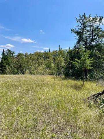 $224,900 | 2 Popple Twp Mn 56621, Bagley, MN 56621