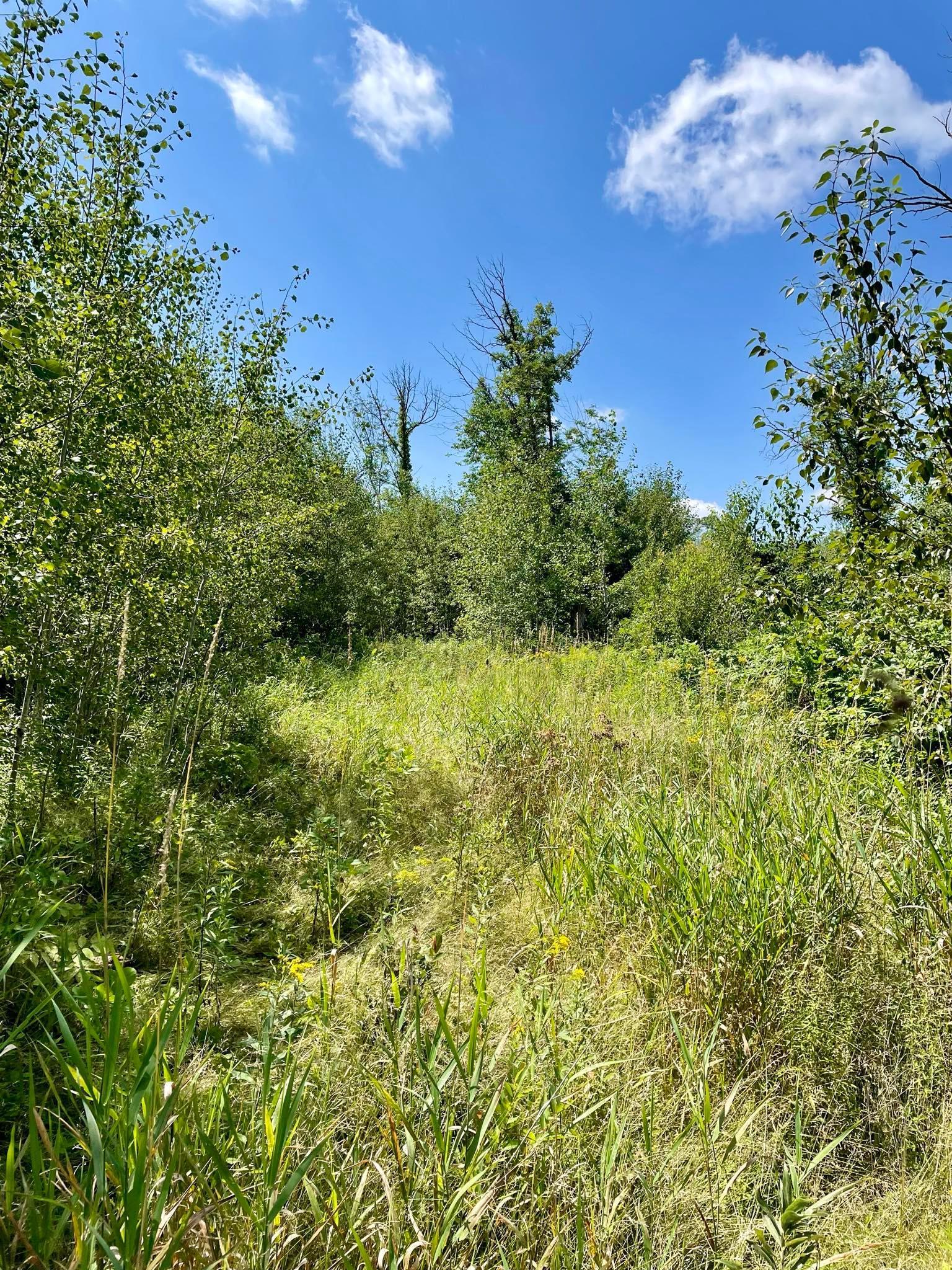 2 Popple Twp Mn 56621 Bagley, MN 56621 - Photo 61 of 93