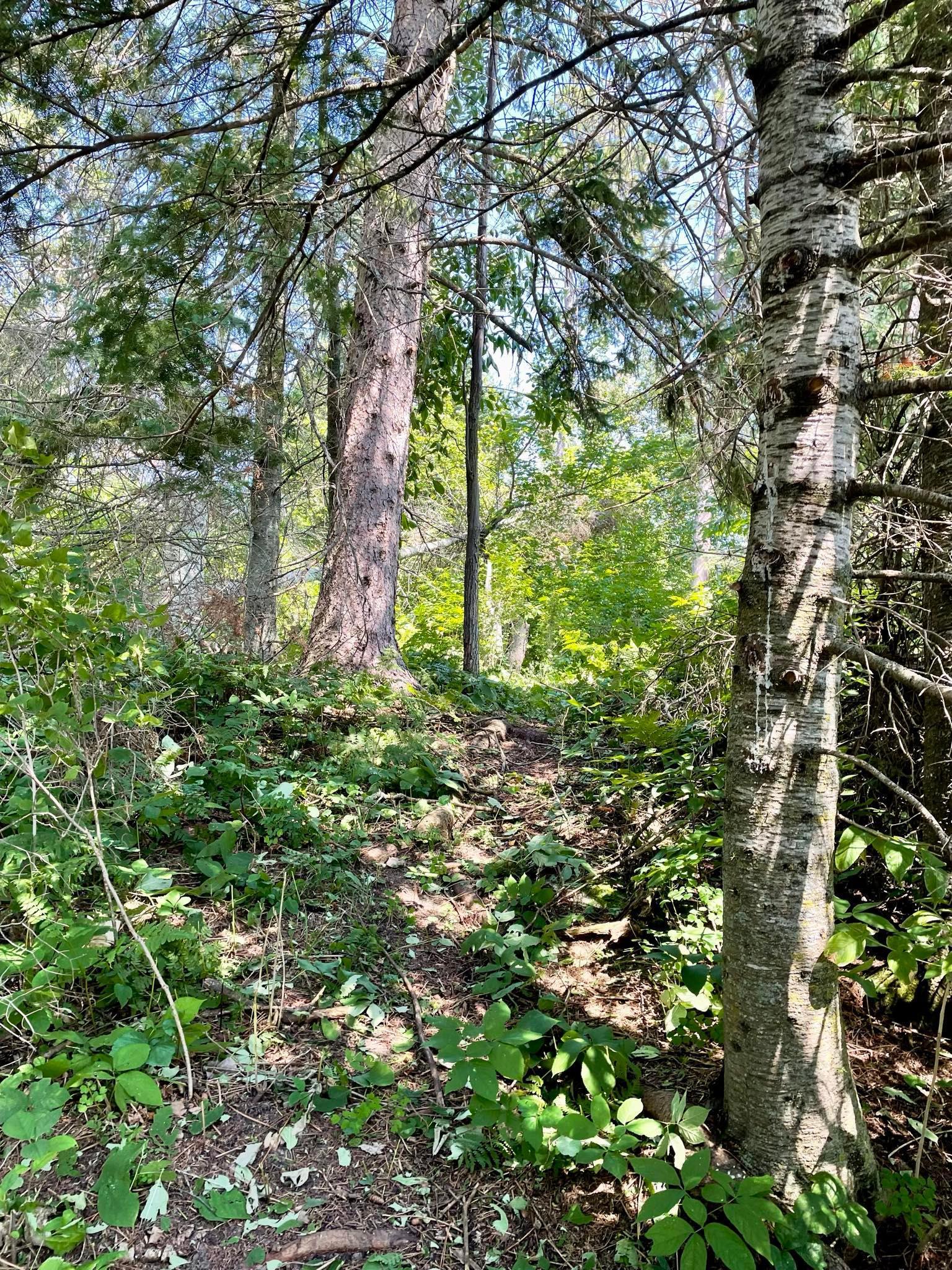 2 Popple Twp Mn 56621 Bagley, MN 56621 - Photo 62 of 93