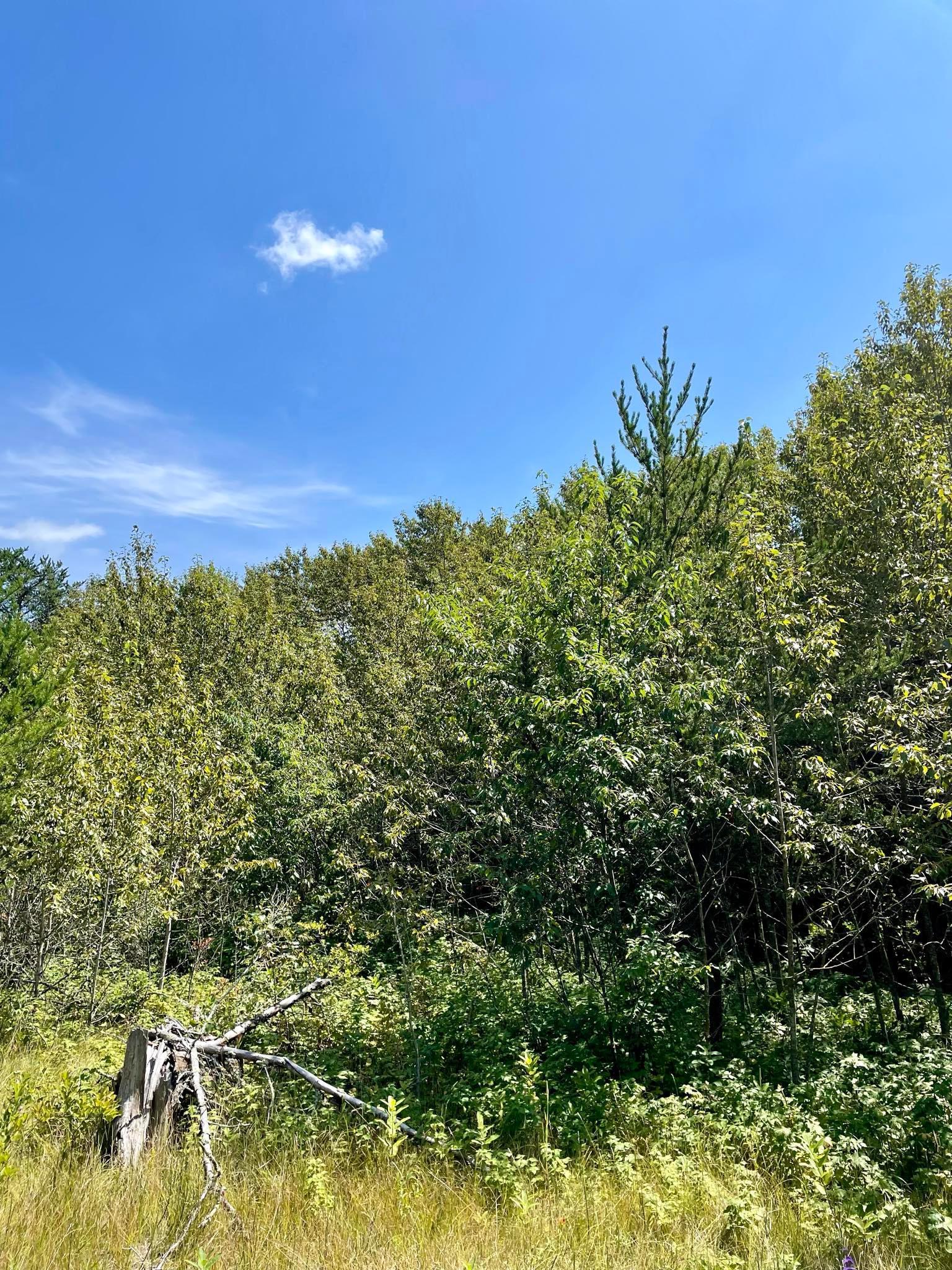 2 Popple Twp Mn 56621 Bagley, MN 56621 - Photo 63 of 93