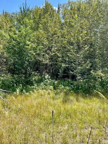 $224,900 | 2 Popple Twp Mn 56621, Bagley, MN 56621