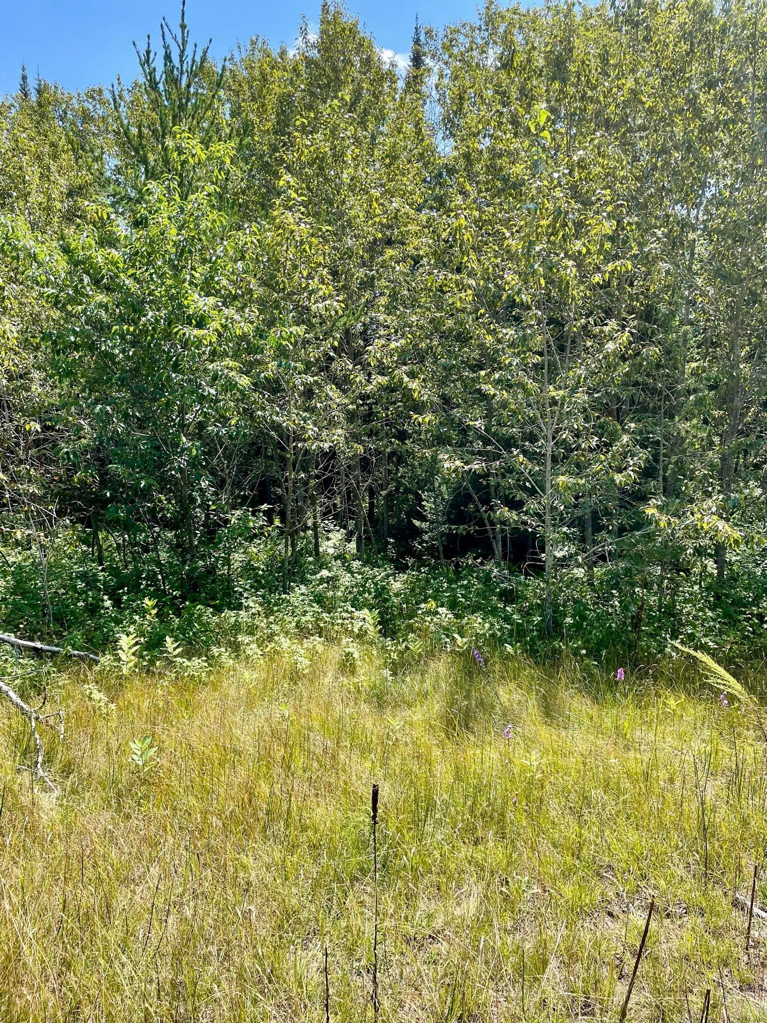 2 Popple Twp Mn 56621 Bagley, MN 56621 - Photo 67 of 93