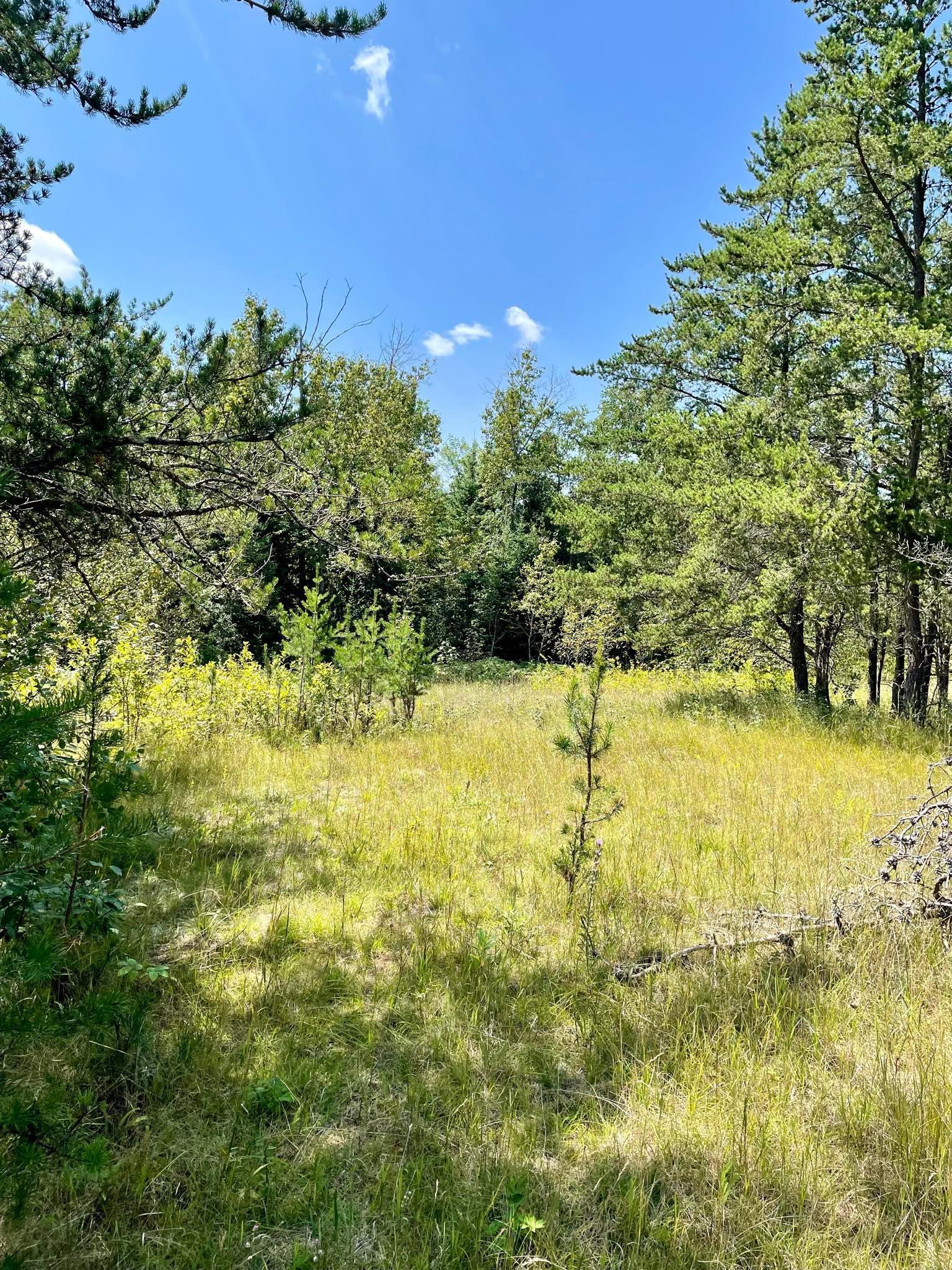 2 Popple Twp Mn 56621 Bagley, MN 56621 - Photo 70 of 93