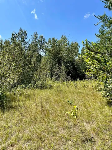 $224,900 | 2 Popple Twp Mn 56621, Bagley, MN 56621