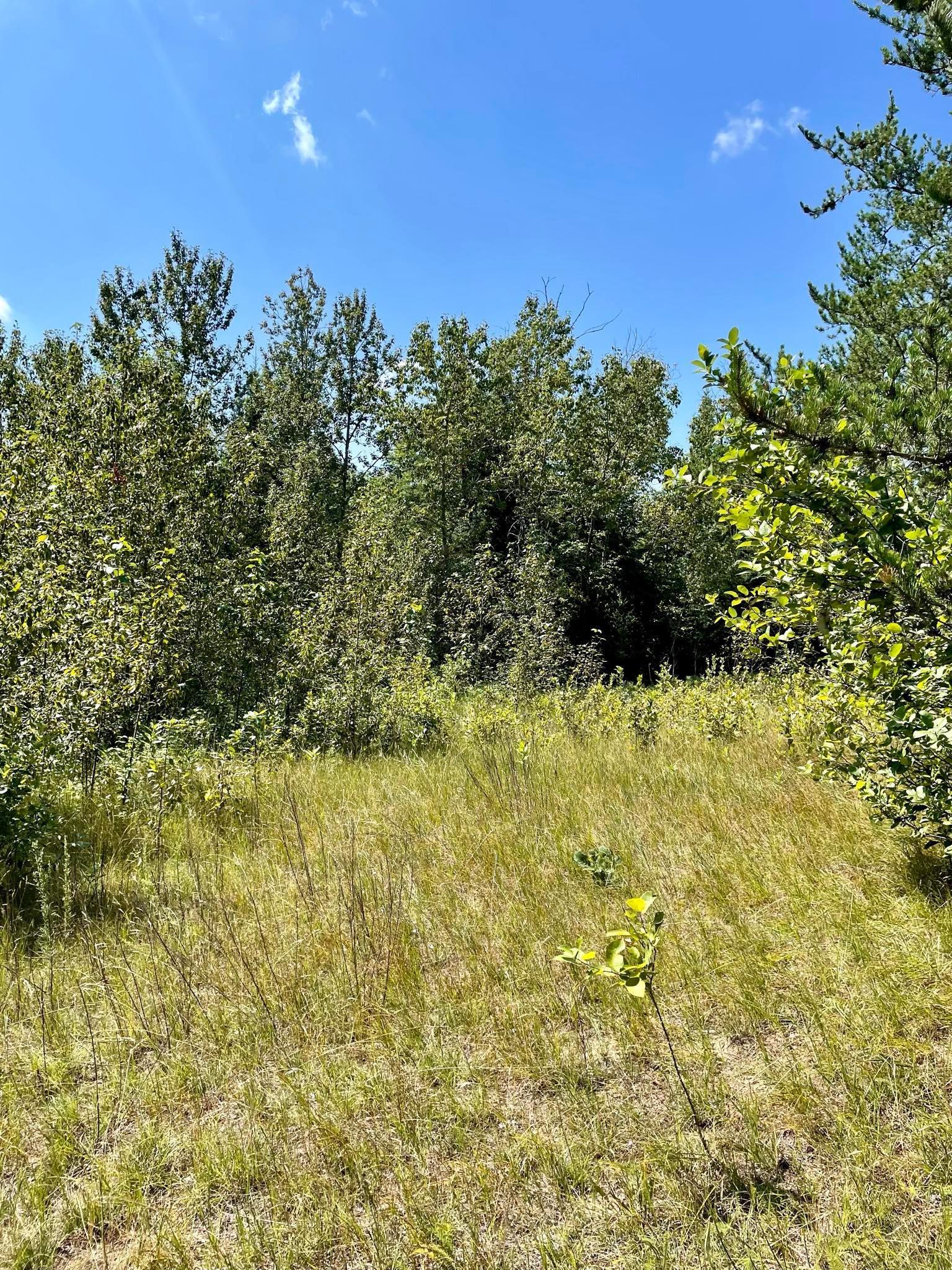 2 Popple Twp Mn 56621 Bagley, MN 56621 - Photo 72 of 93