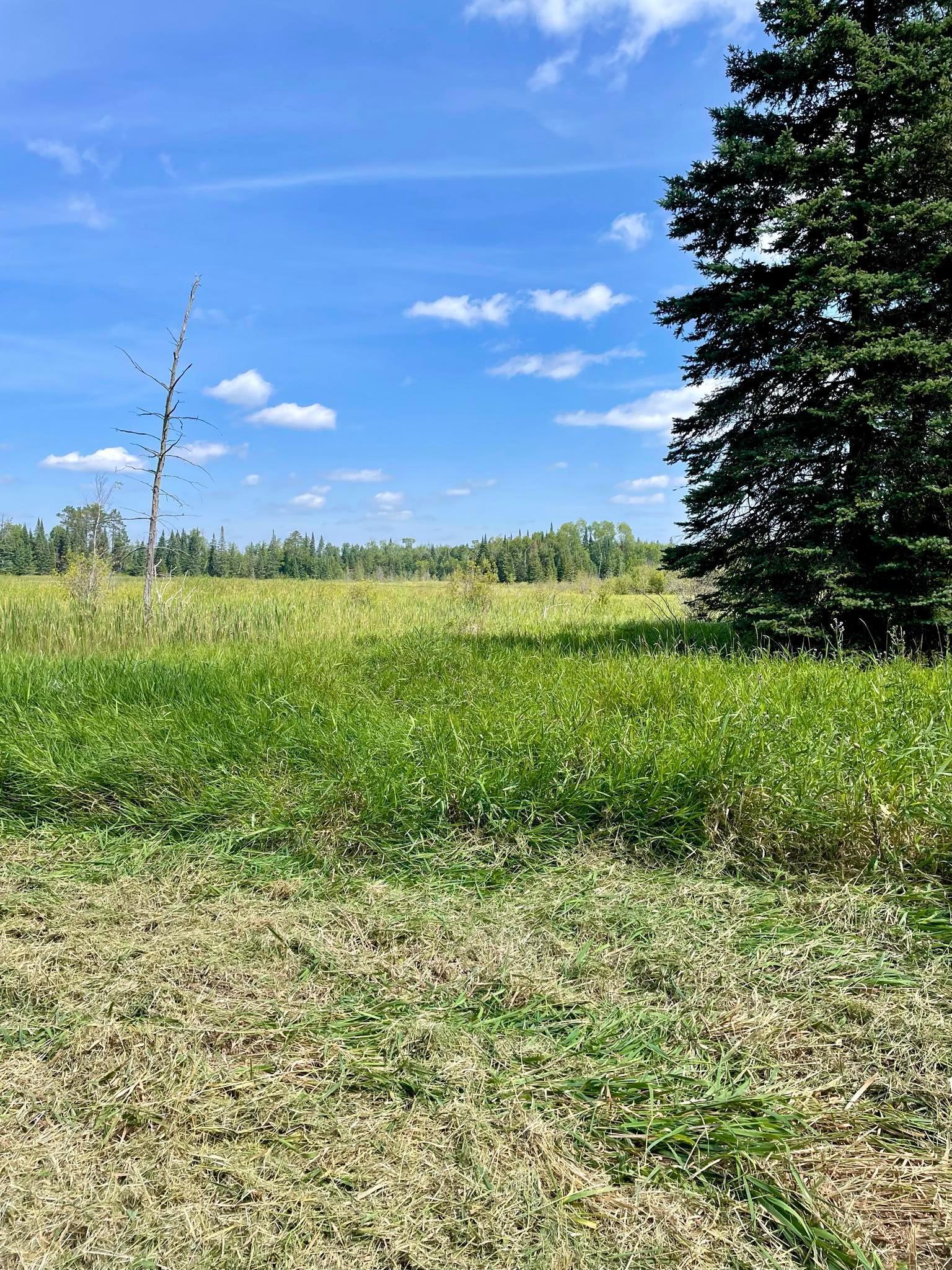 2 Popple Twp Mn 56621 Bagley, MN 56621 - Photo 73 of 93