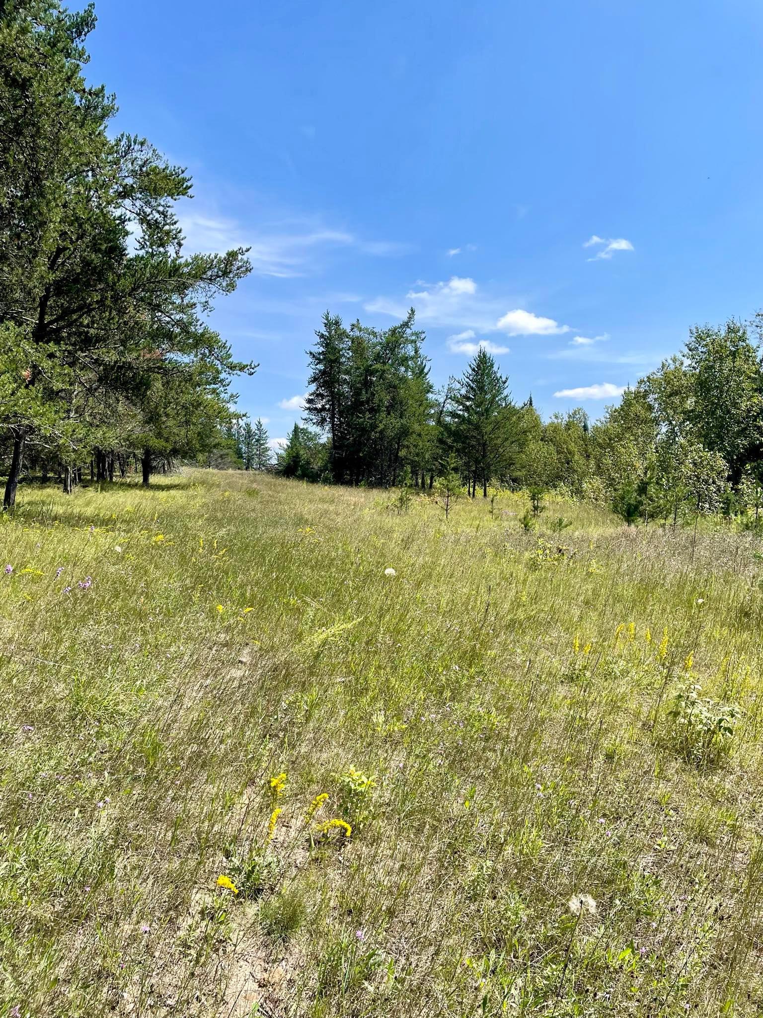 2 Popple Twp Mn 56621 Bagley, MN 56621 - Photo 75 of 93