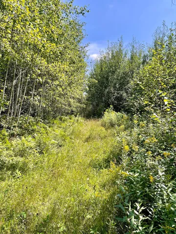 $224,900 | 2 Popple Twp Mn 56621, Bagley, MN 56621