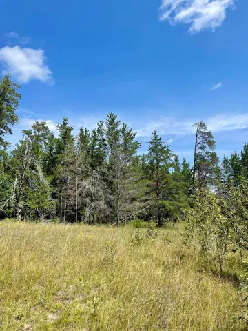 $224,900 | 2 Popple Twp Mn 56621, Bagley, MN 56621