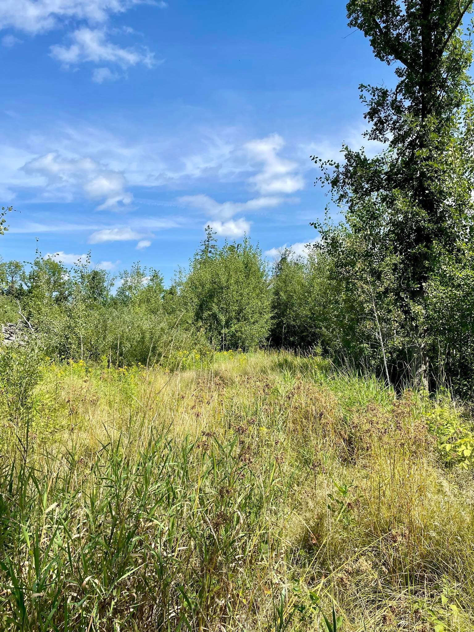 2 Popple Twp Mn 56621 Bagley, MN 56621 - Photo 79 of 93