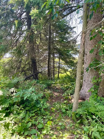 $224,900 | 2 Popple Twp Mn 56621, Bagley, MN 56621