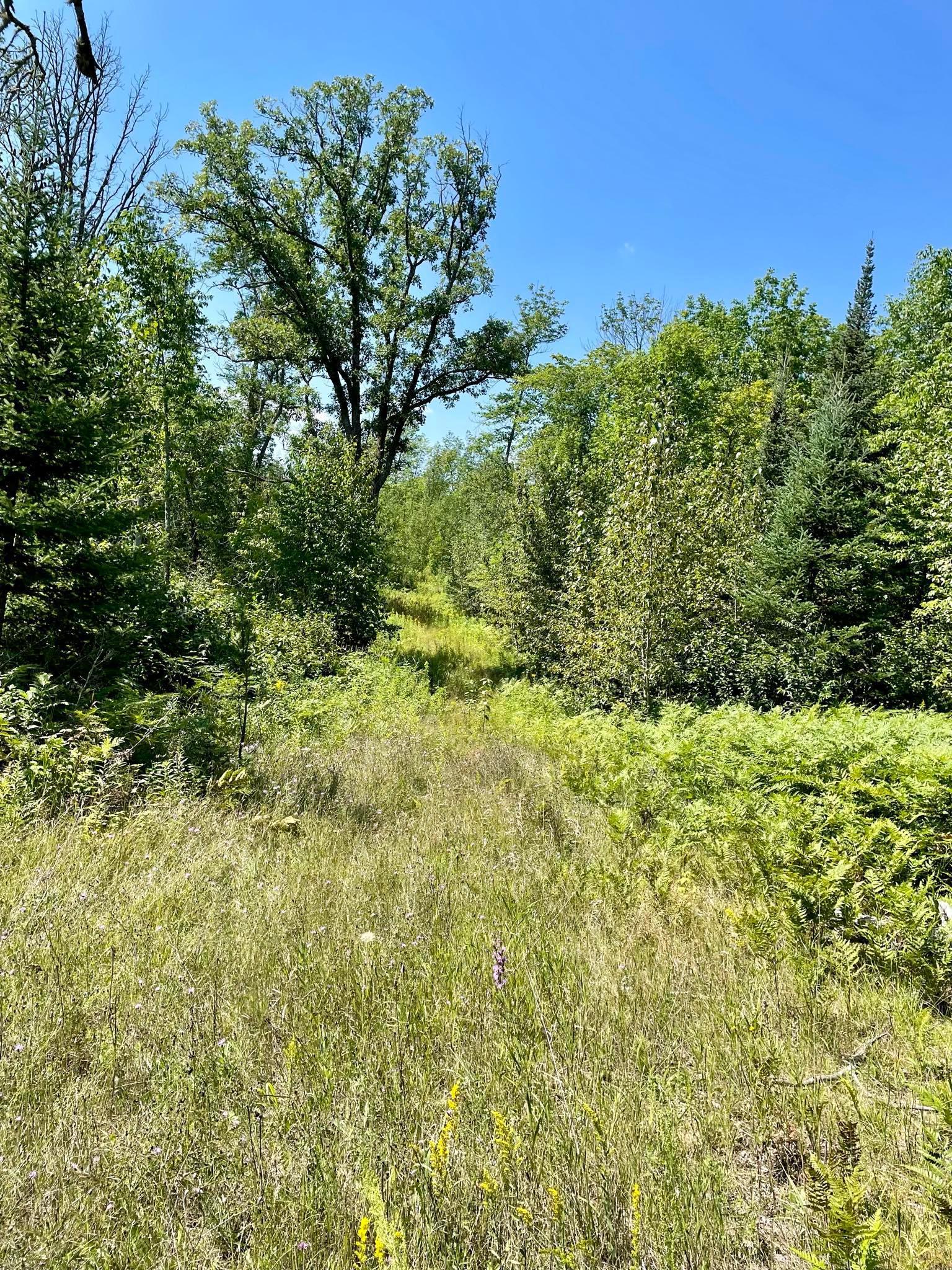 2 Popple Twp Mn 56621 Bagley, MN 56621 - Photo 87 of 93