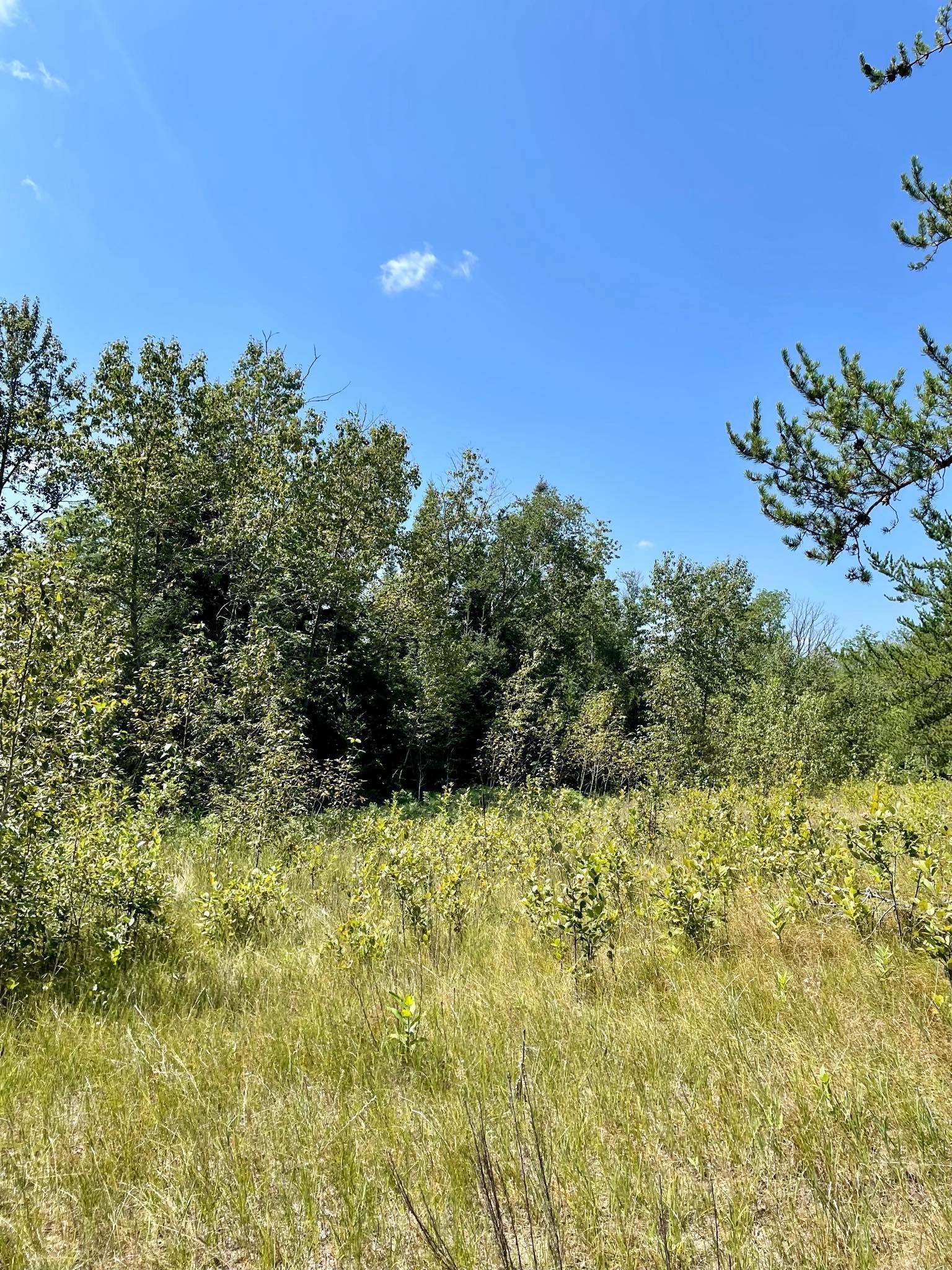 2 Popple Twp Mn 56621 Bagley, MN 56621 - Photo 89 of 93