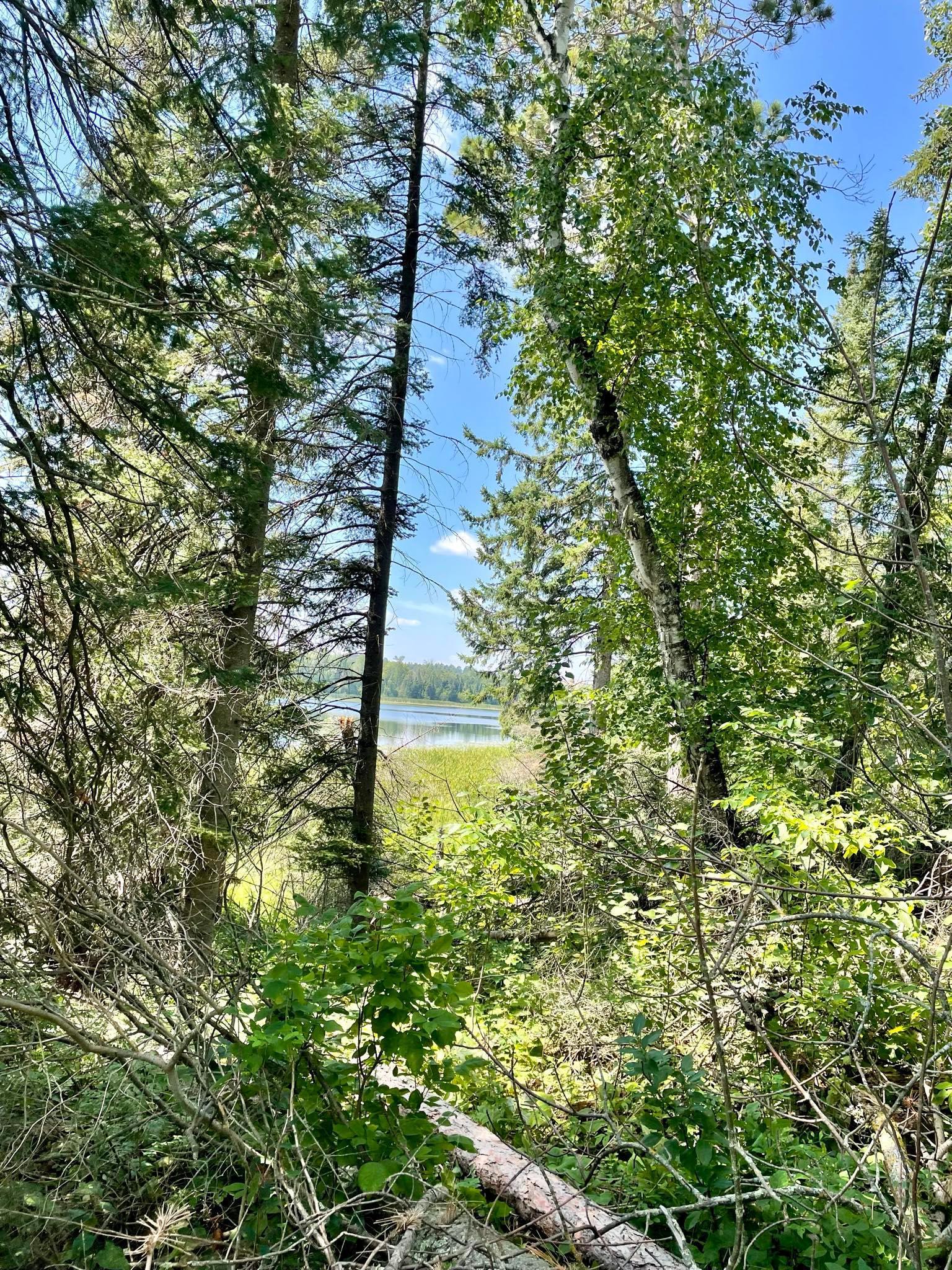 2 Popple Twp Mn 56621 Bagley, MN 56621 - Photo 90 of 93