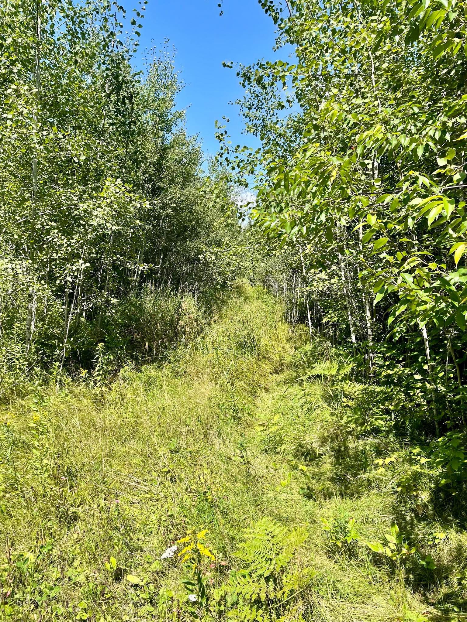 2 Popple Twp Mn 56621 Bagley, MN 56621 - Photo 91 of 93