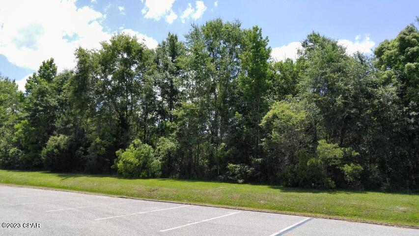 12 Northwest Bristol Bristol, FL 32321 - Photo 1 of 18