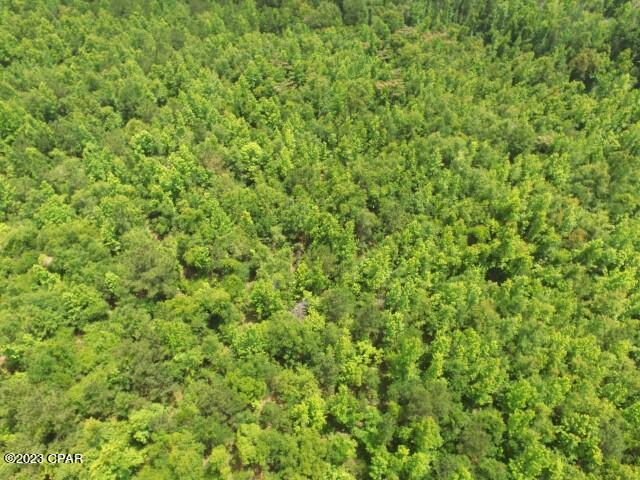 12 Northwest Bristol Bristol, FL 32321 - Photo 11 of 18